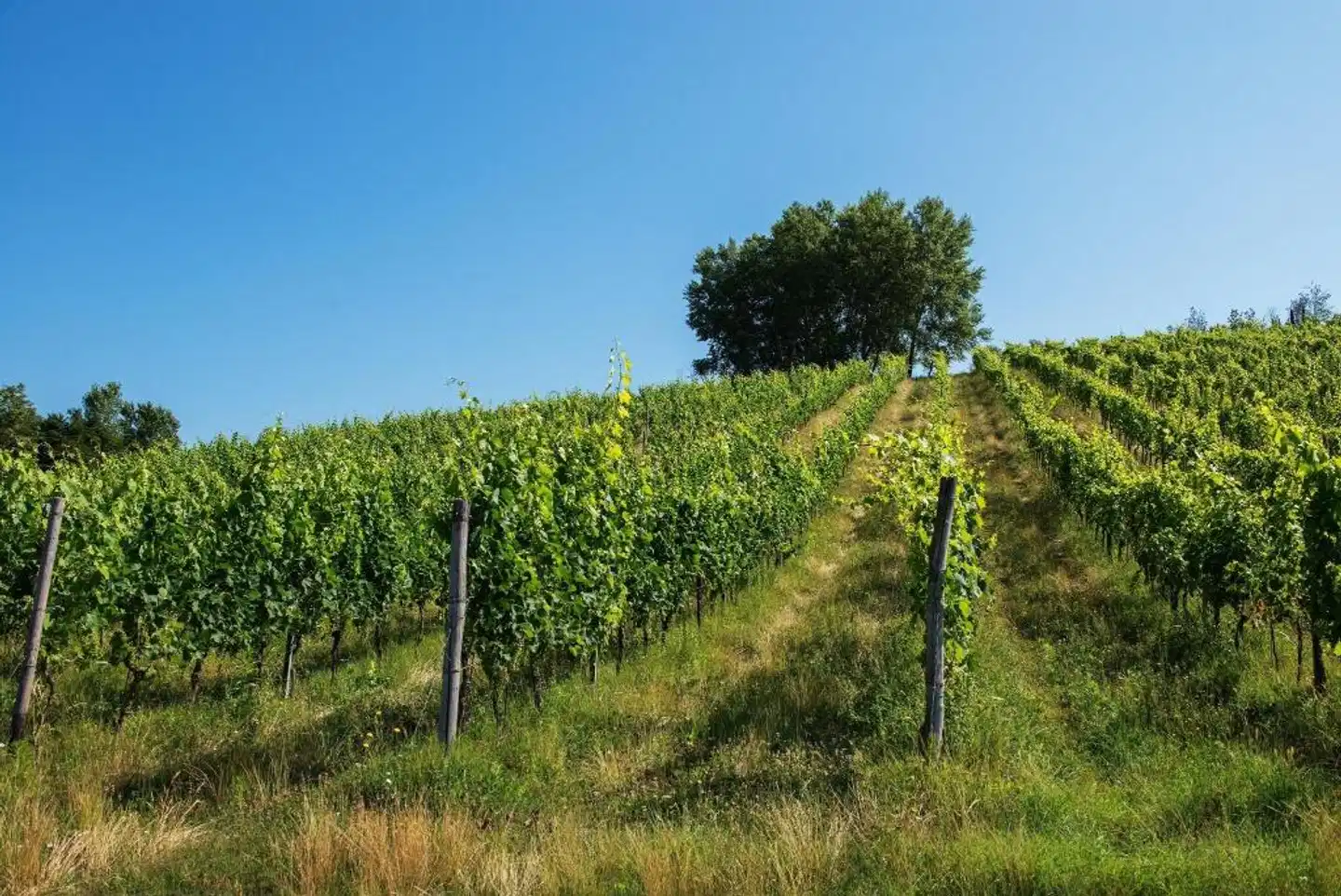 Relais Sassa al Sole Landschaft