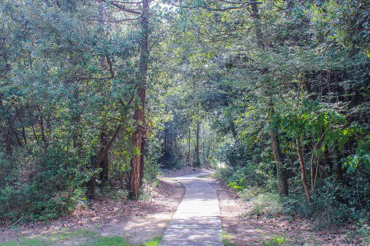 Bella Italia & EFA Village Garten