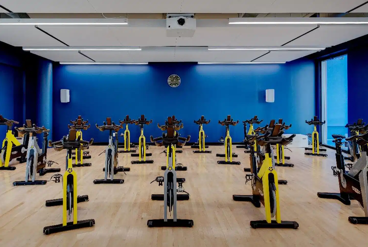 Hotel X Toronto by Library Hotel Collection Sport und Entertainment