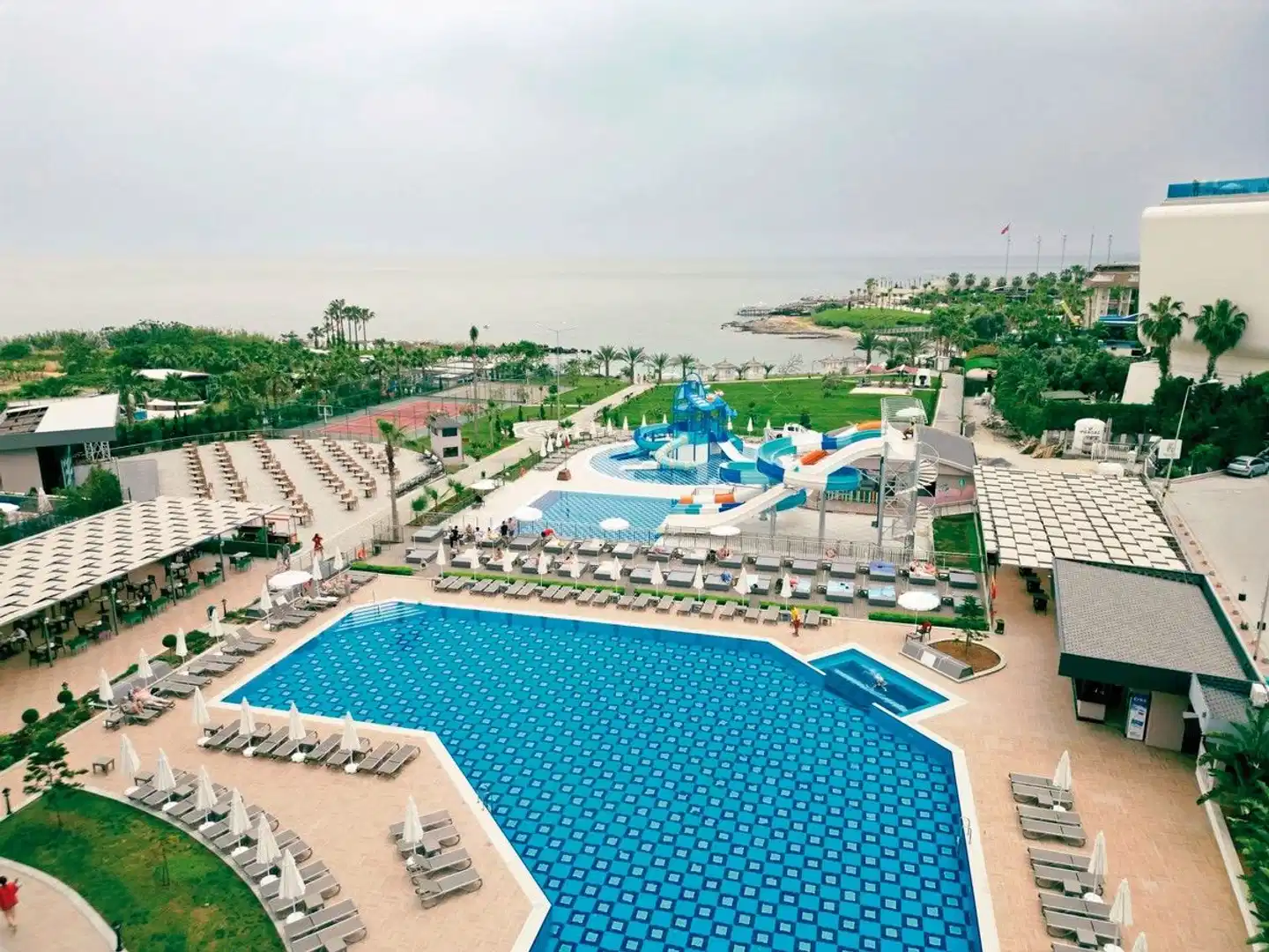 Lonicera Premium Pool