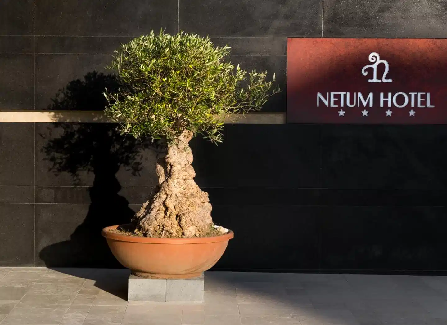 Hotel Netum Lobby