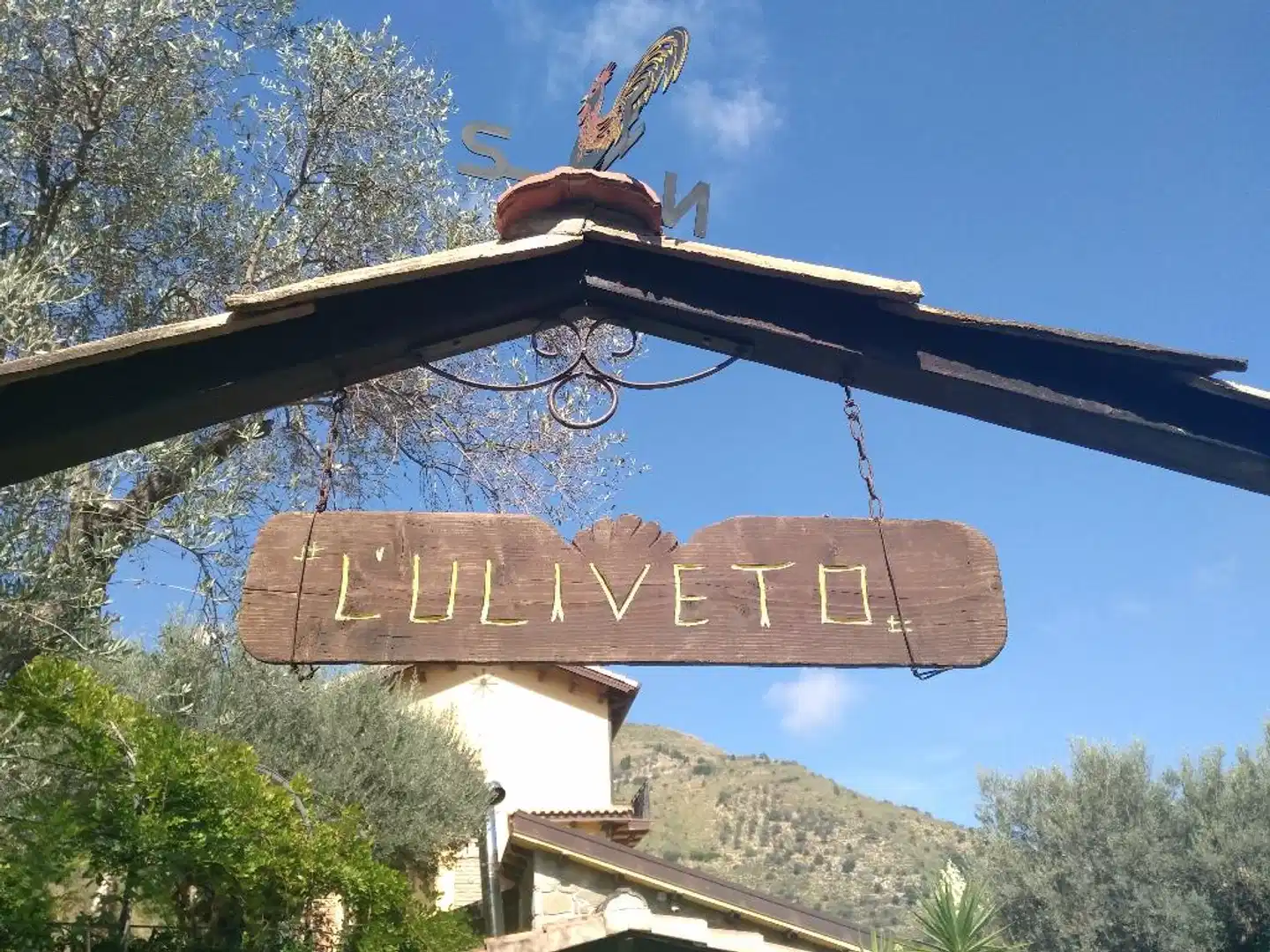 L'Uliveto Landschaft