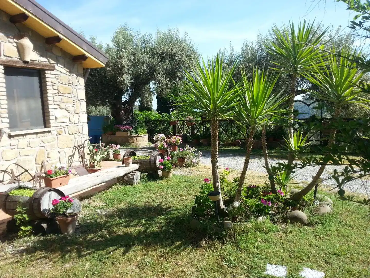 L'Uliveto Garten