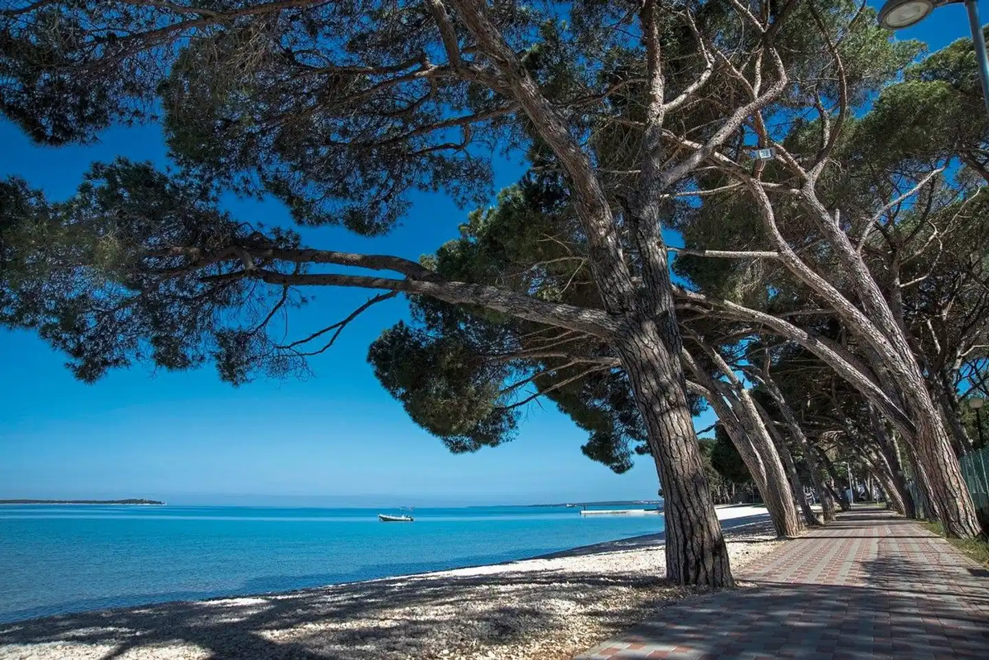 Bi Village Mobile Homes (by Happy Camp) Landschaft