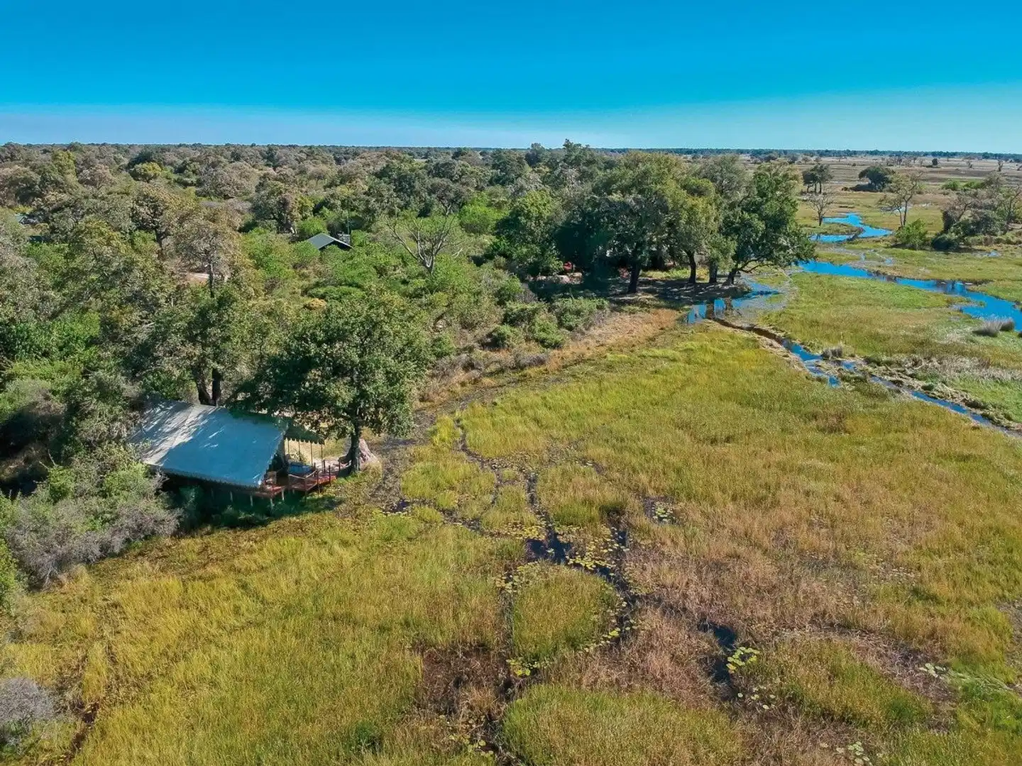 Duke's Camp Landschaft