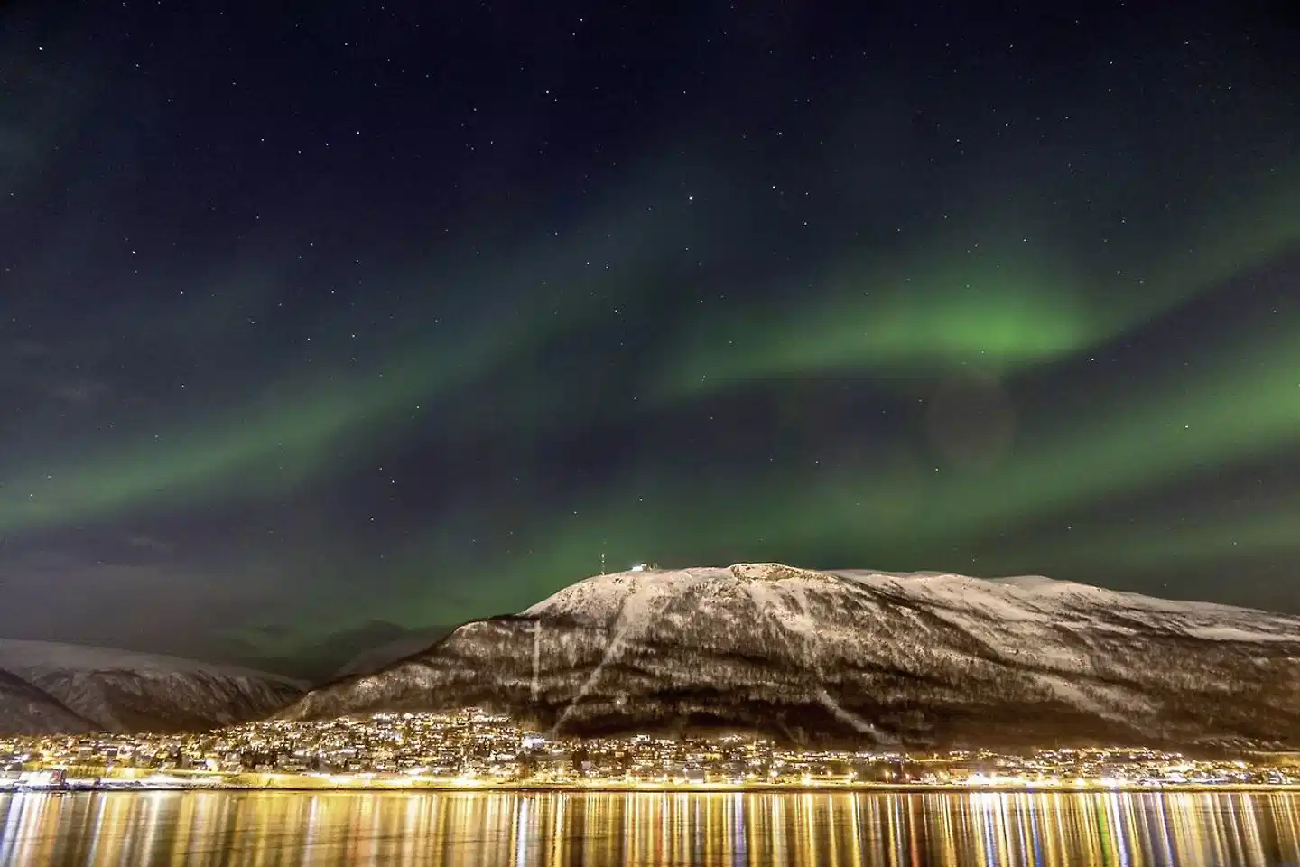 Arktische Erlebnisse Tiere