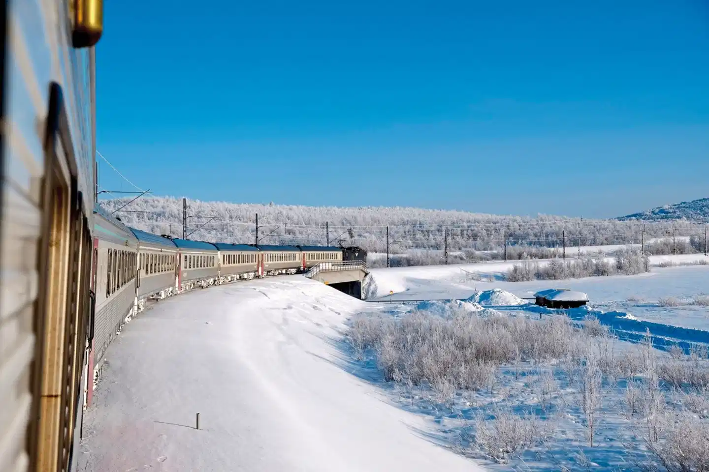 Arktische Highlights - Vom Eismeer zum ICEHOTEL Pool