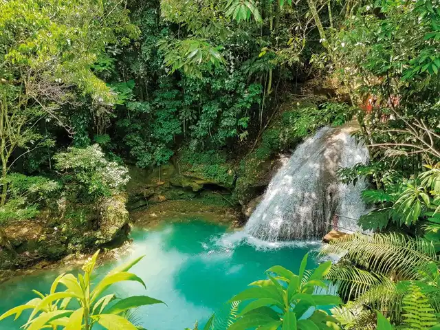 Reggae, Rum und Me(h)er Landschaft