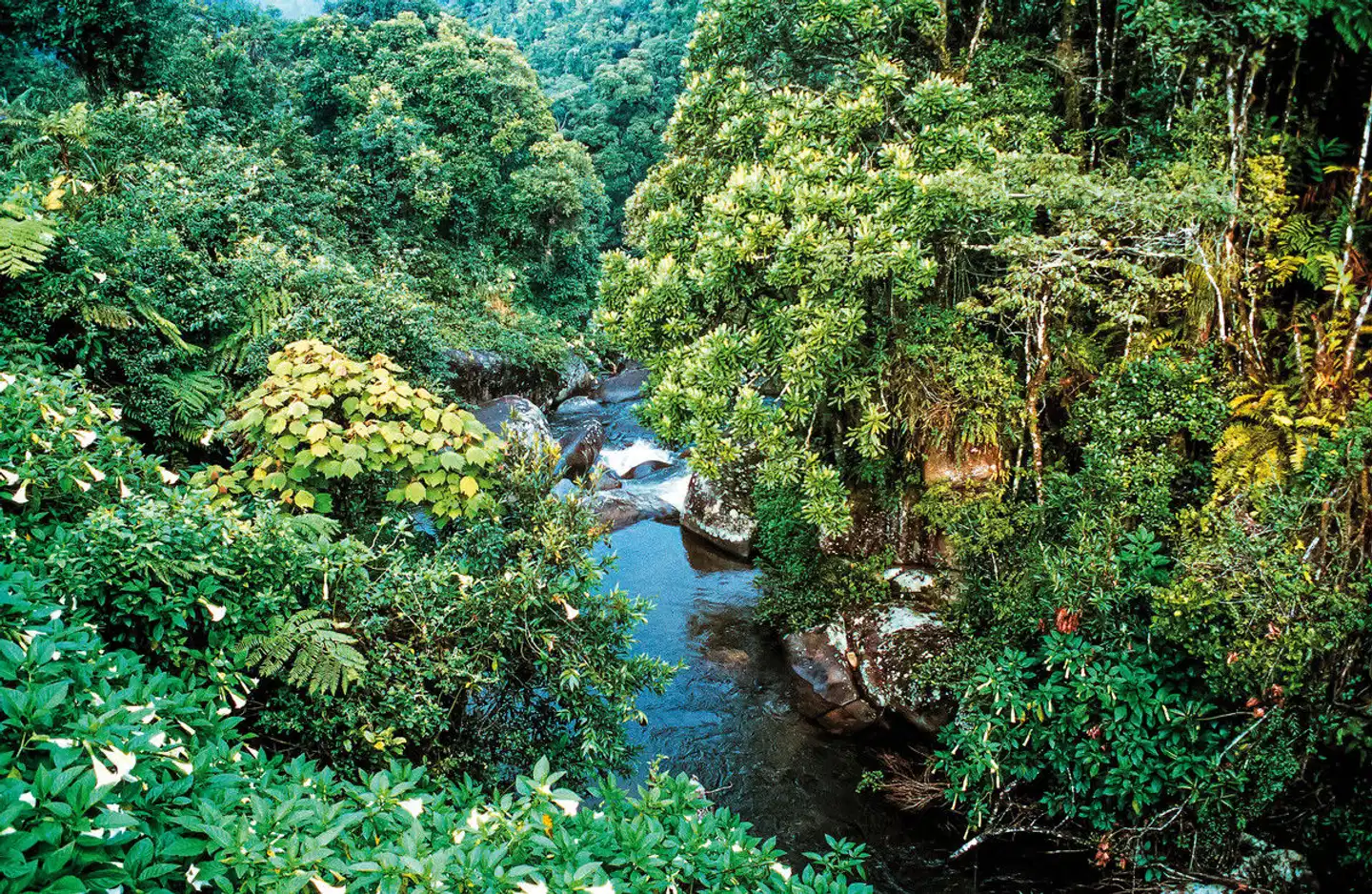 Madagaskar Intensiv Landschaft