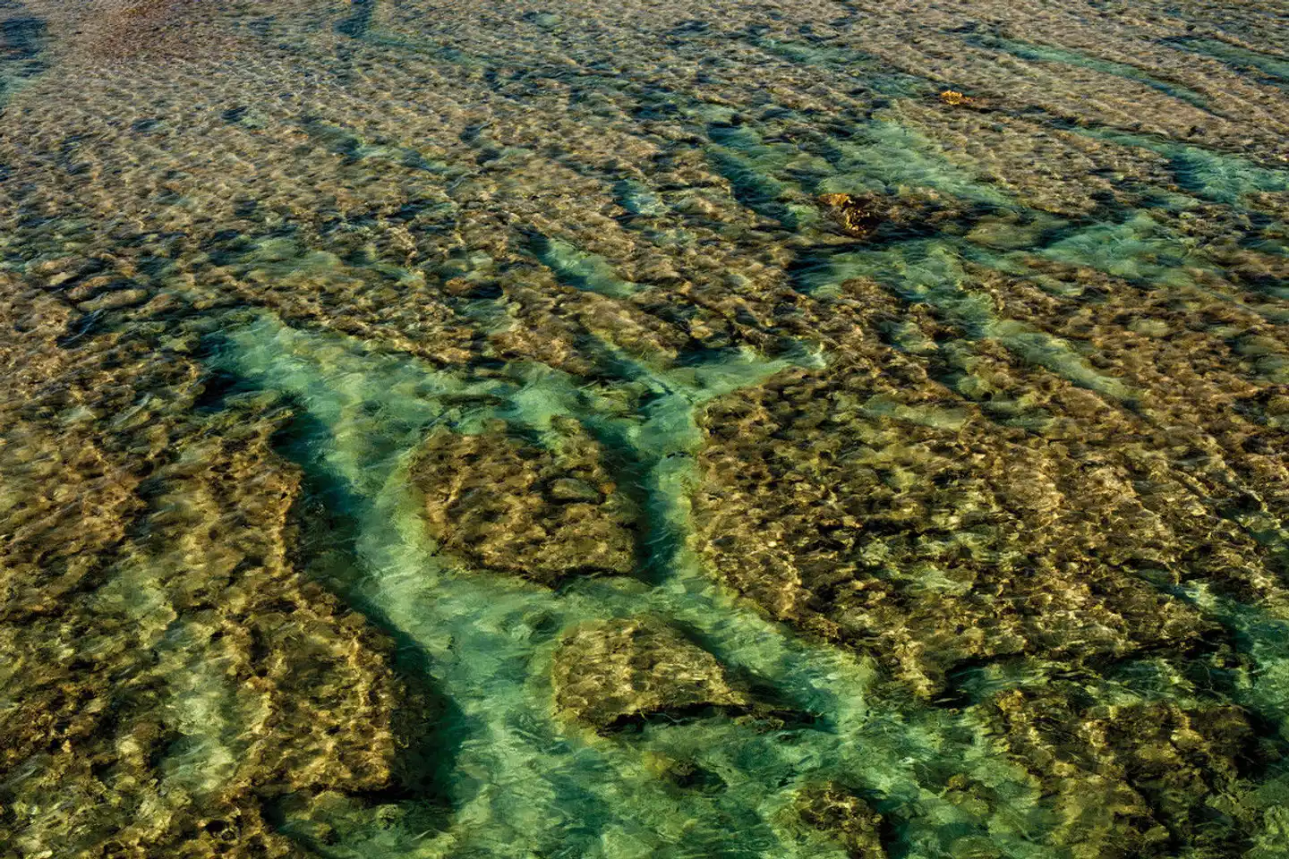 Erlebnis Cook Islands Landschaft