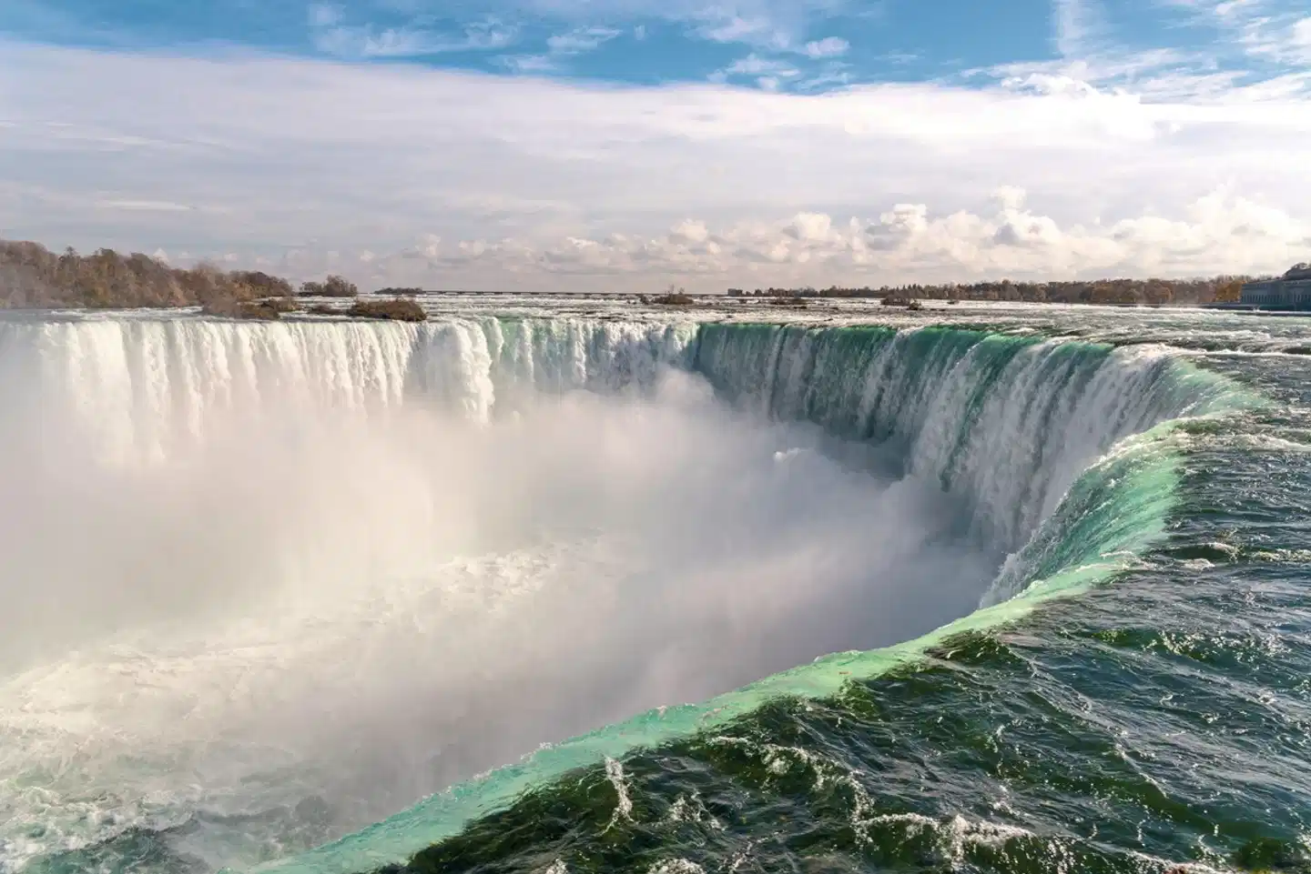 Ontario & Québec Tiere