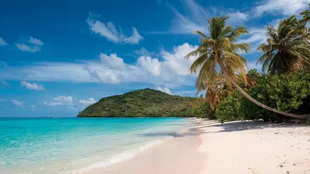 Karibische Inselträume: Bocas del Toro Landschaft