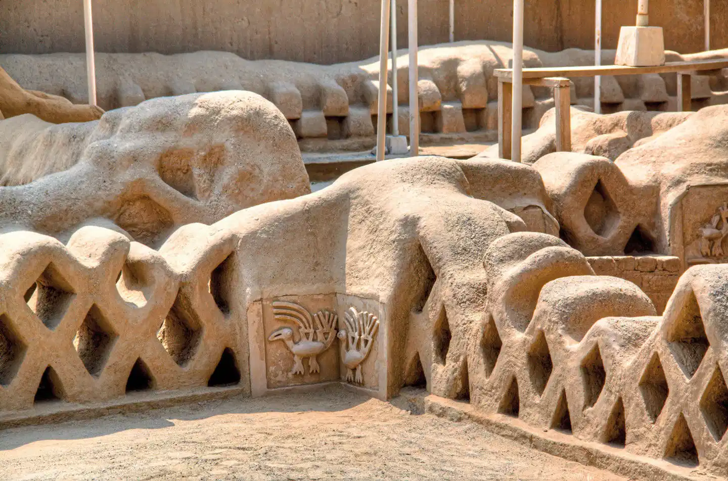 Peru - Faszinierender Norden Tiere