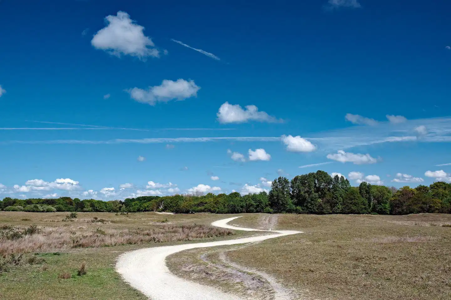 MS Normandie - Zeeland-Route Landschaft