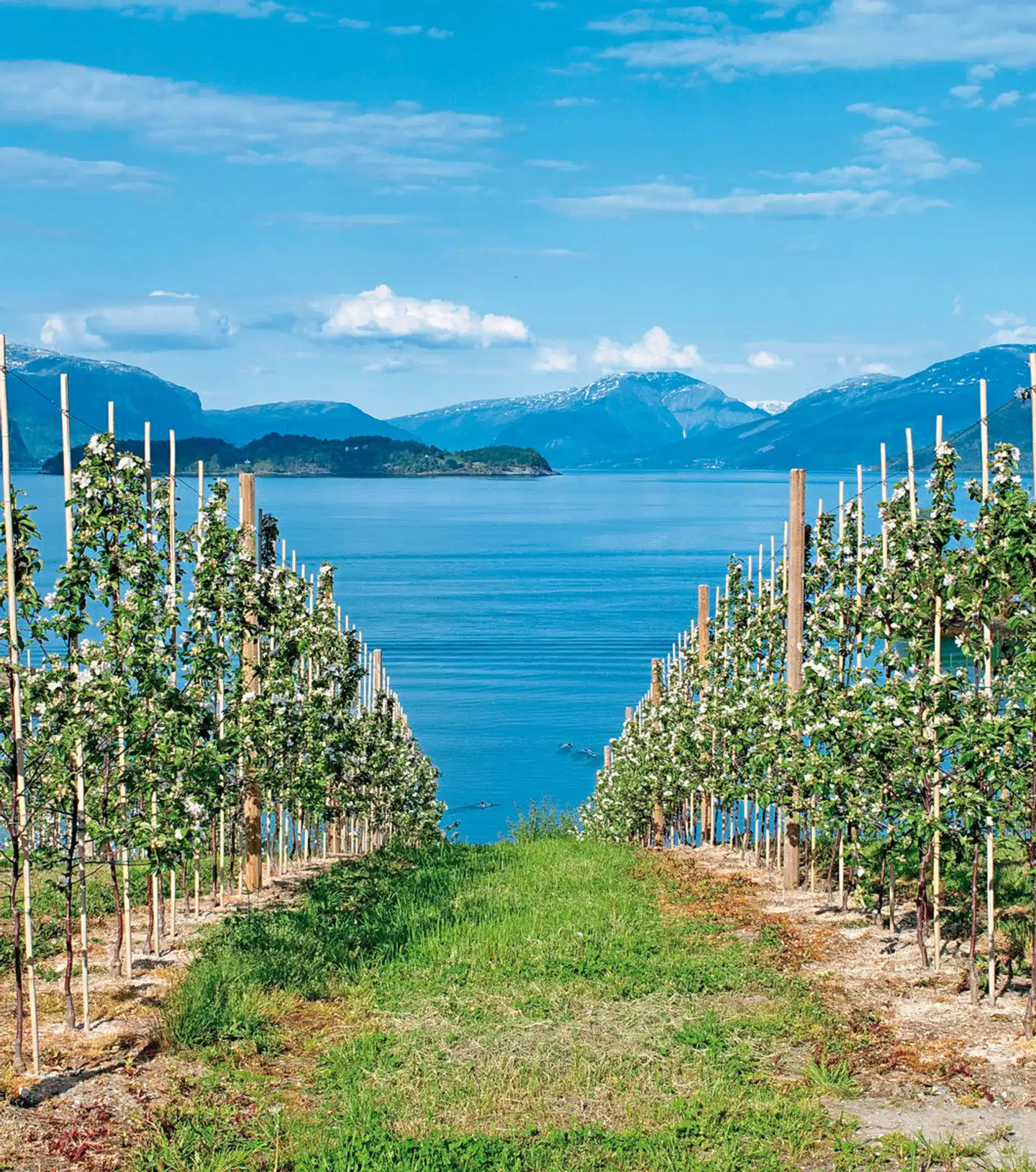Fjordnorwegens Top Ten Landschaft