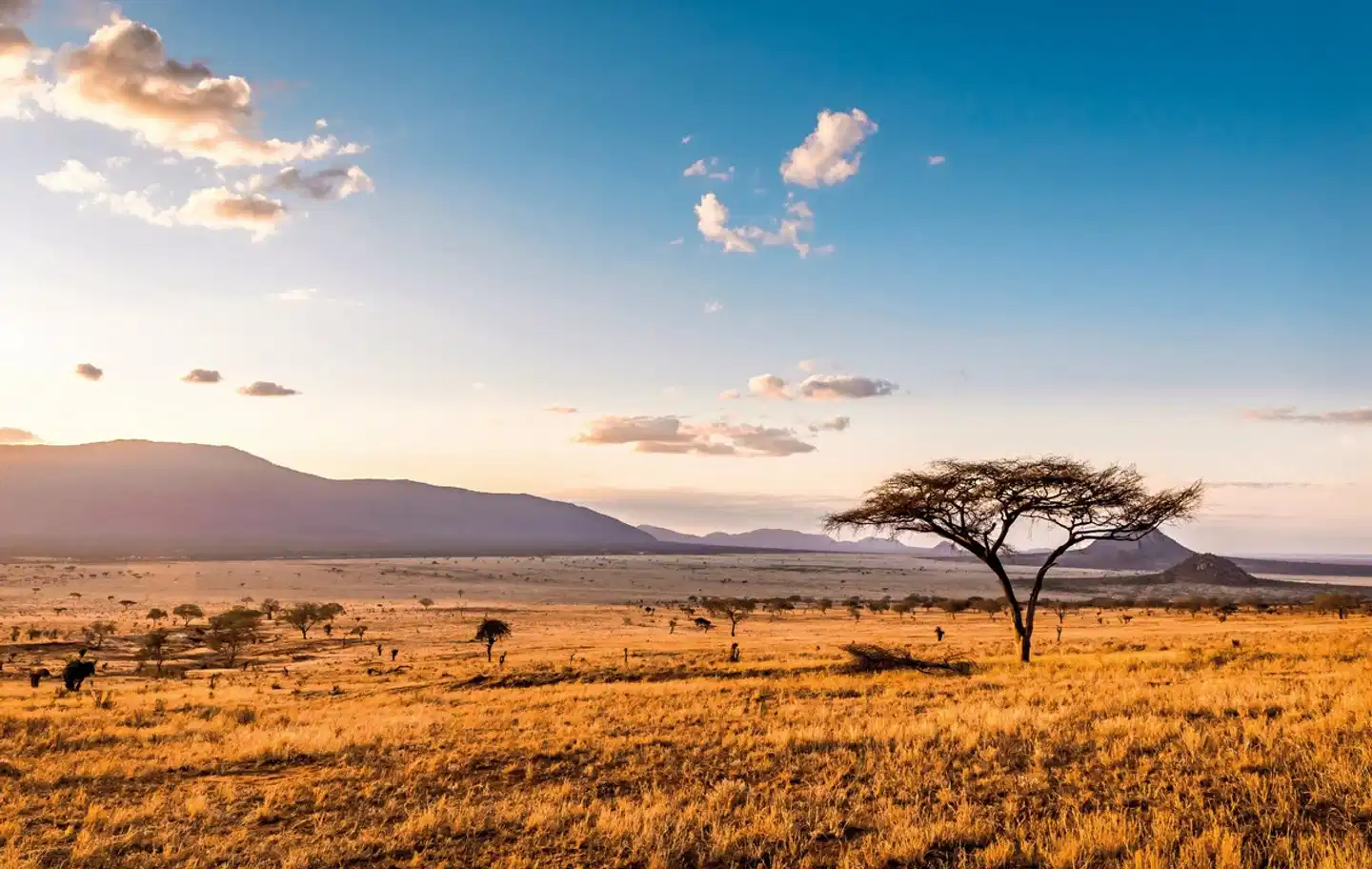 Kenia Explorer Landschaft