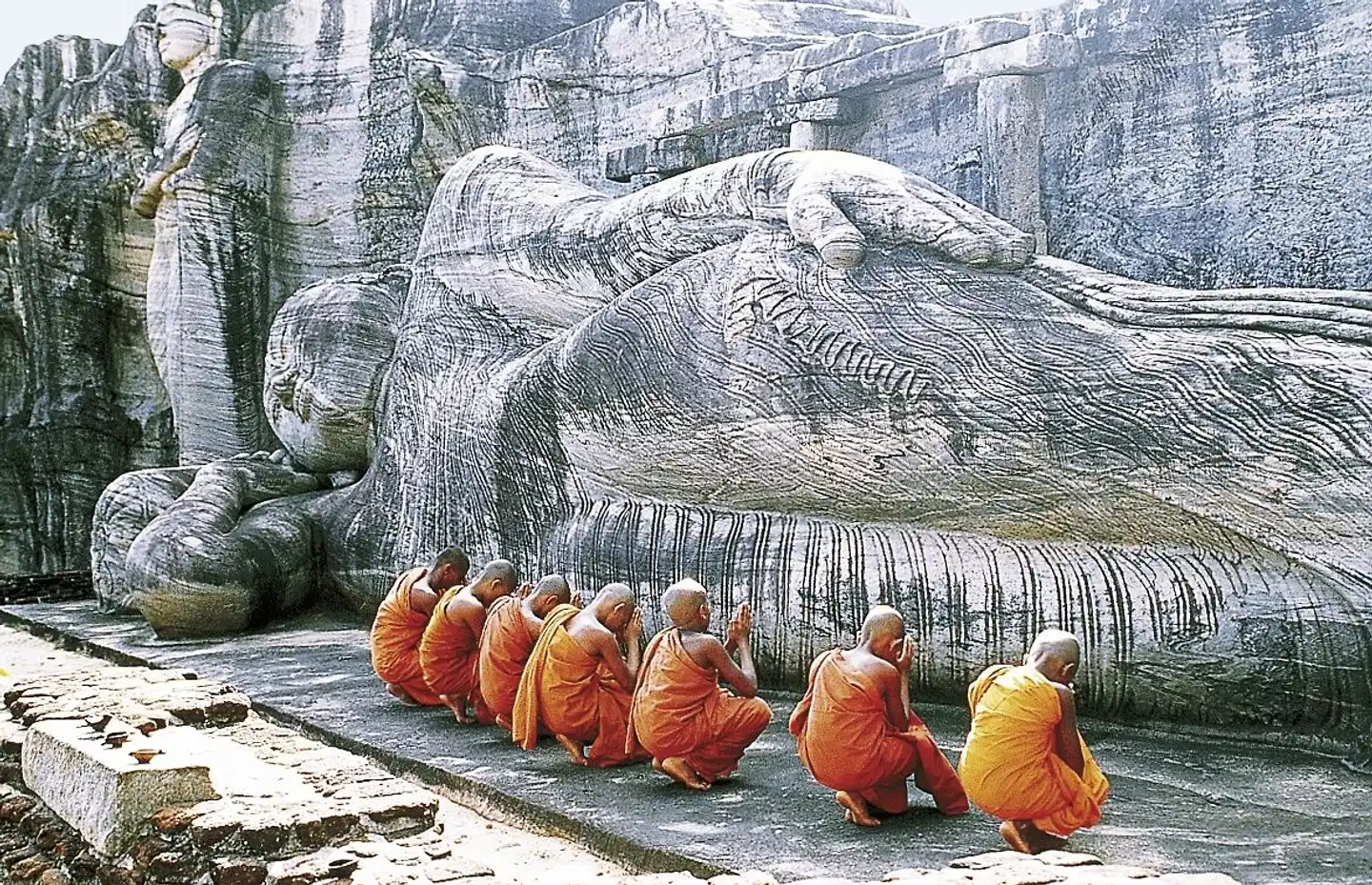 Sri Lanka intensiv Tiere