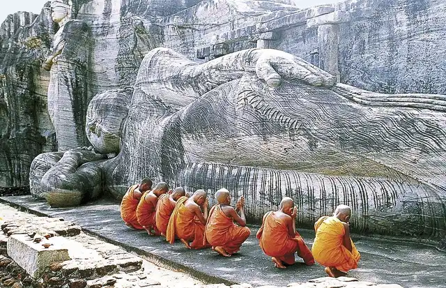 Sri Lanka intensiv Tiere