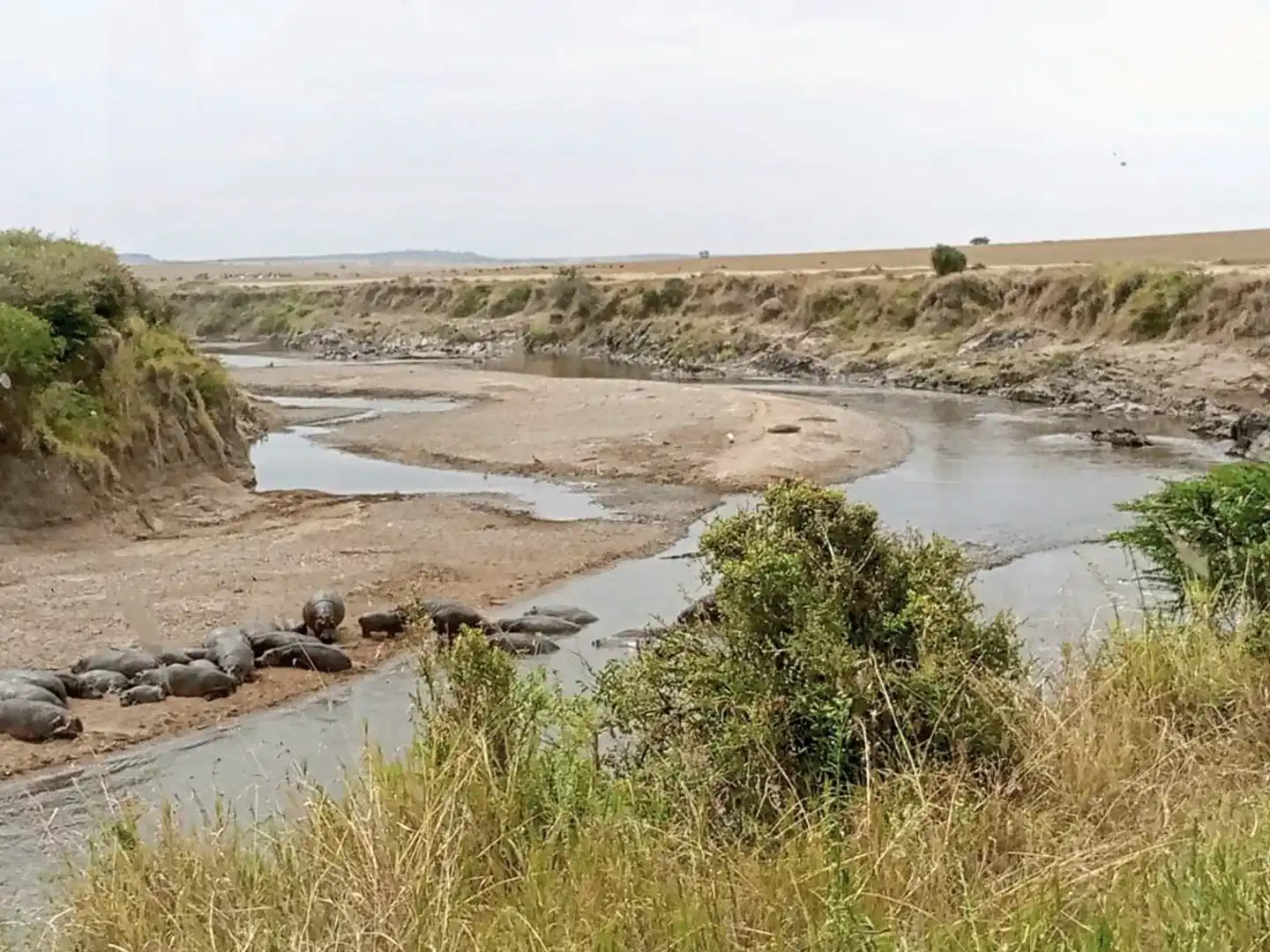 Drifters - Kenia & Tansania Explorer (Accommodated Tour) Landschaft