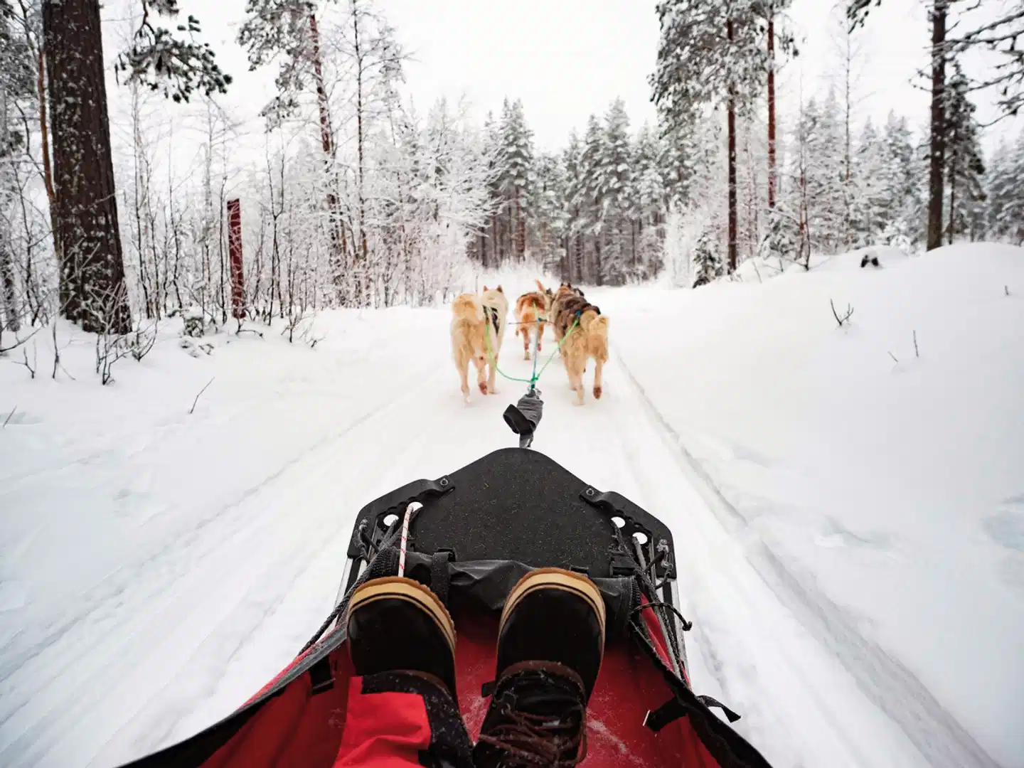 Perlen unter dem Polarlicht Sport und Entertainment