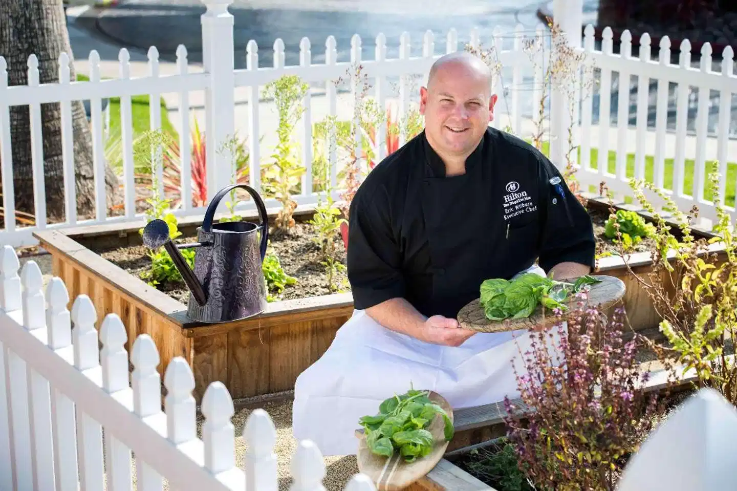 Hilton Garden Inn San Diego Del Mar Personen