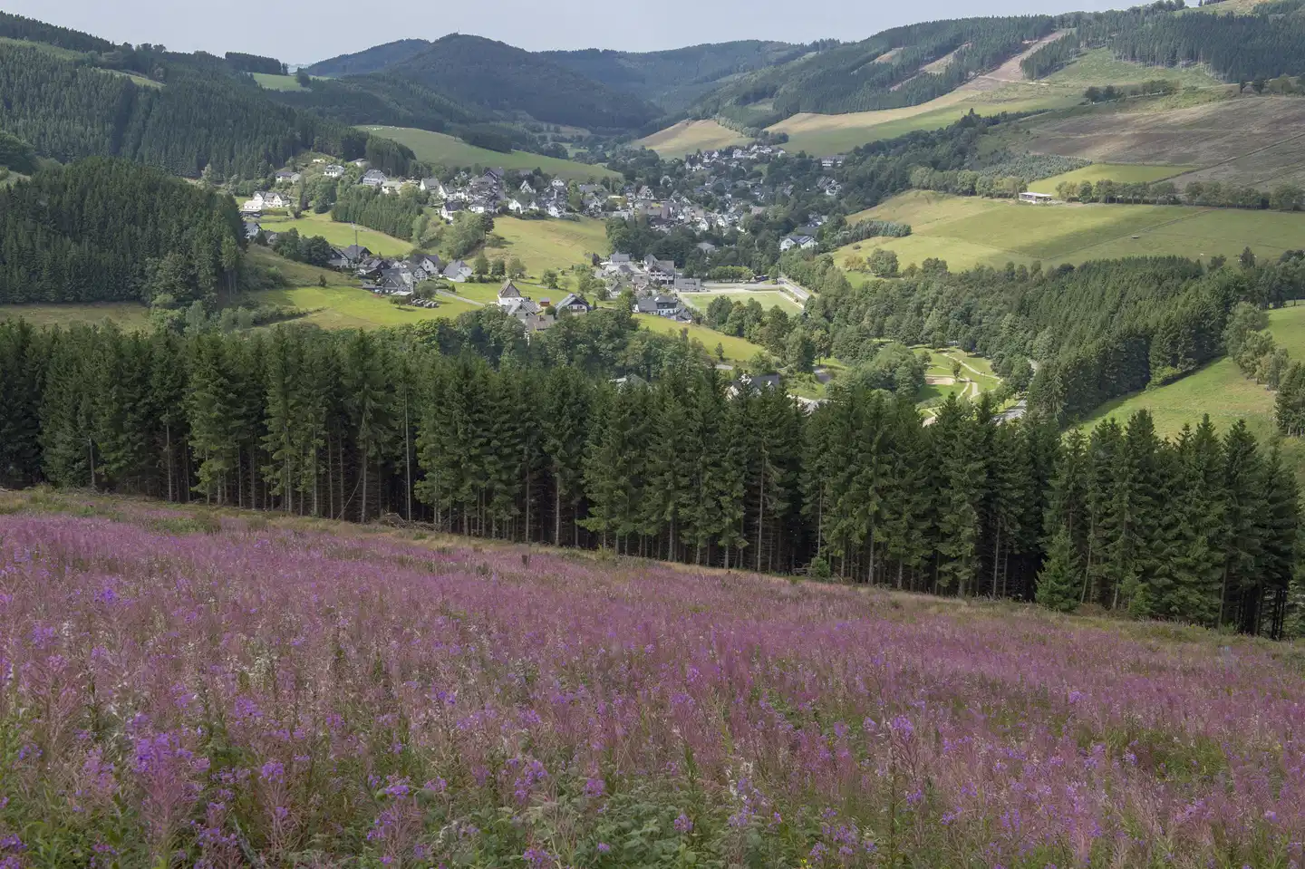 Berghotel Hoher Knochen Landschaft