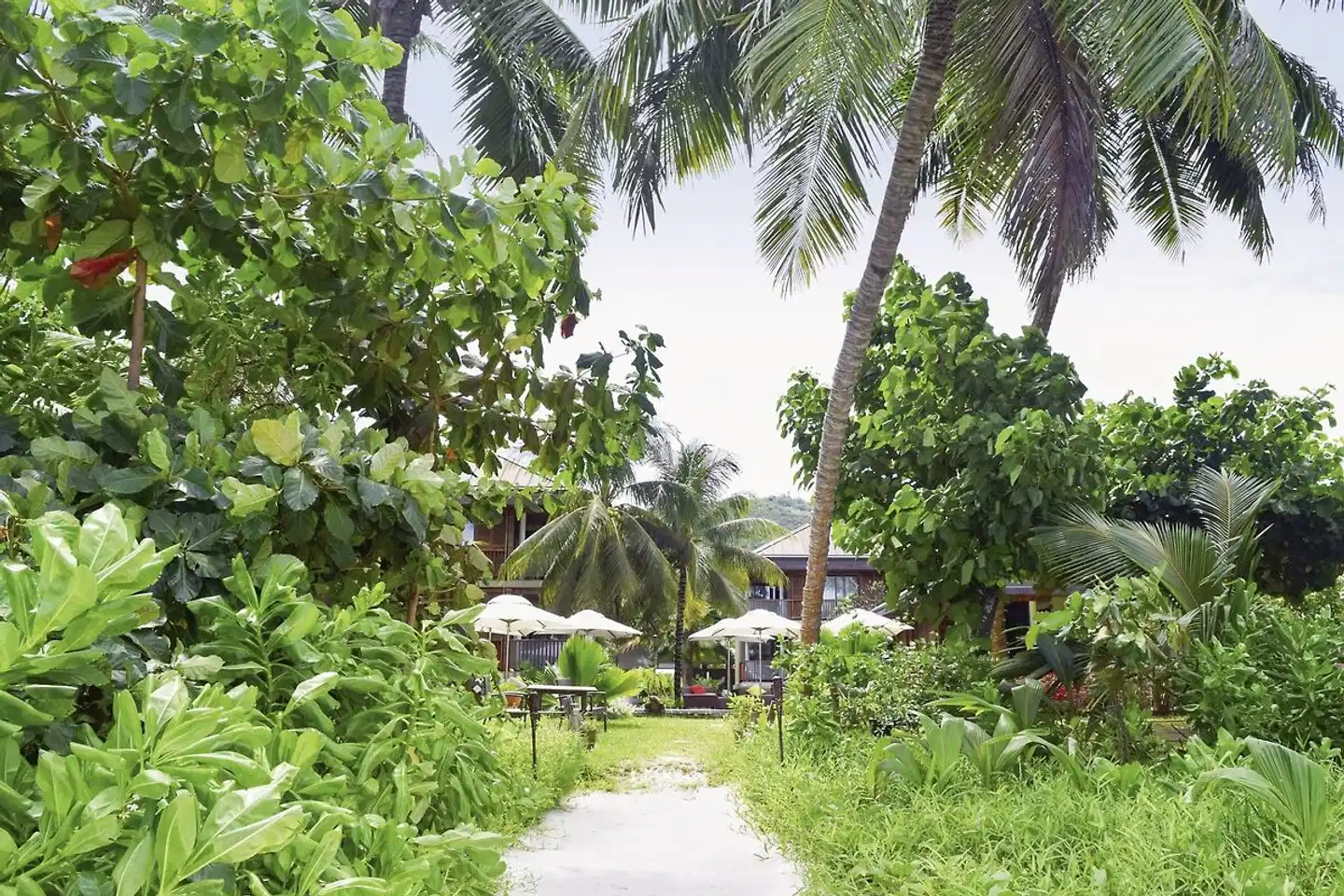 Dhevatara Beach Hotel Garten