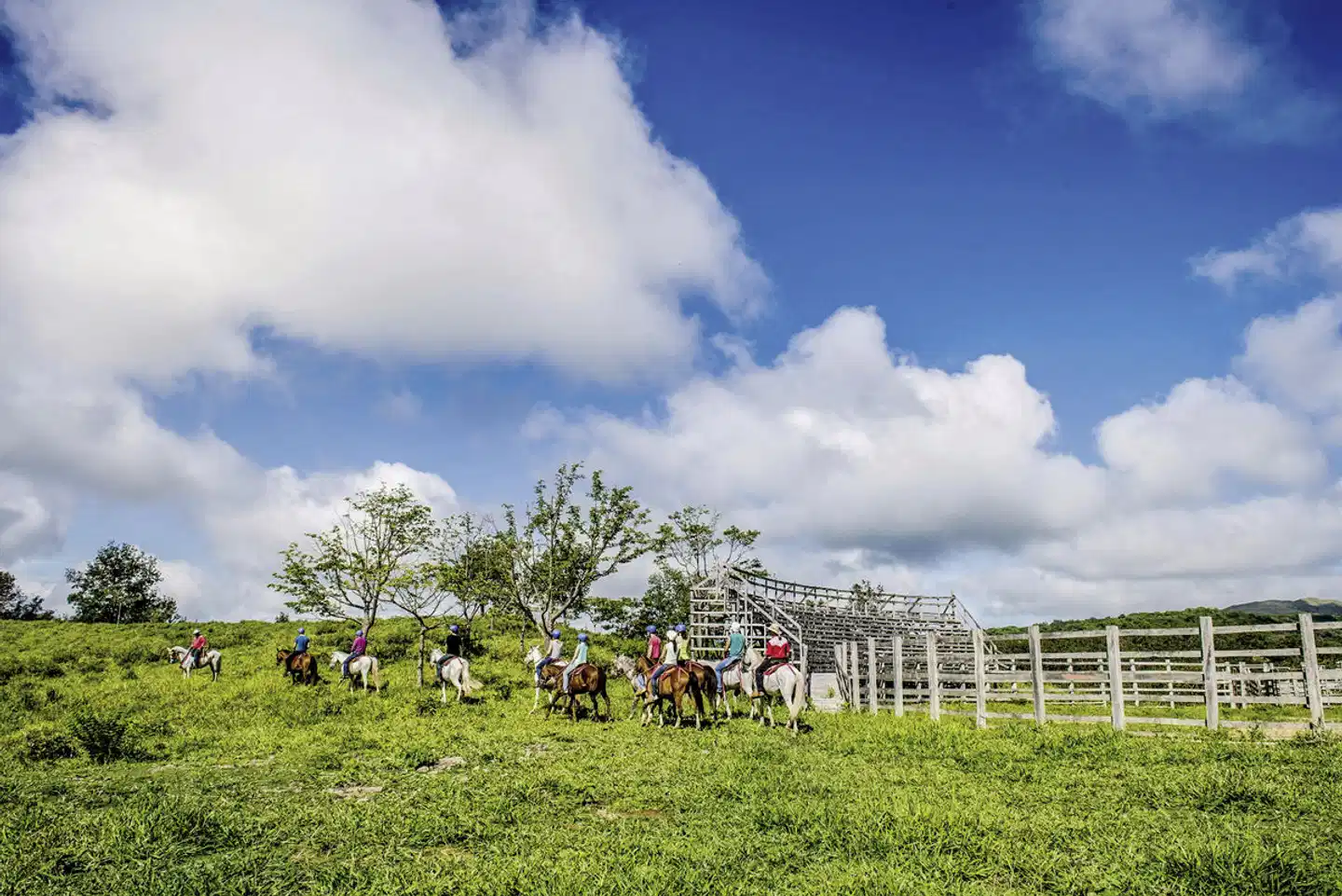 Costa Rica - Auf der Suche nach den Faultieren Tiere