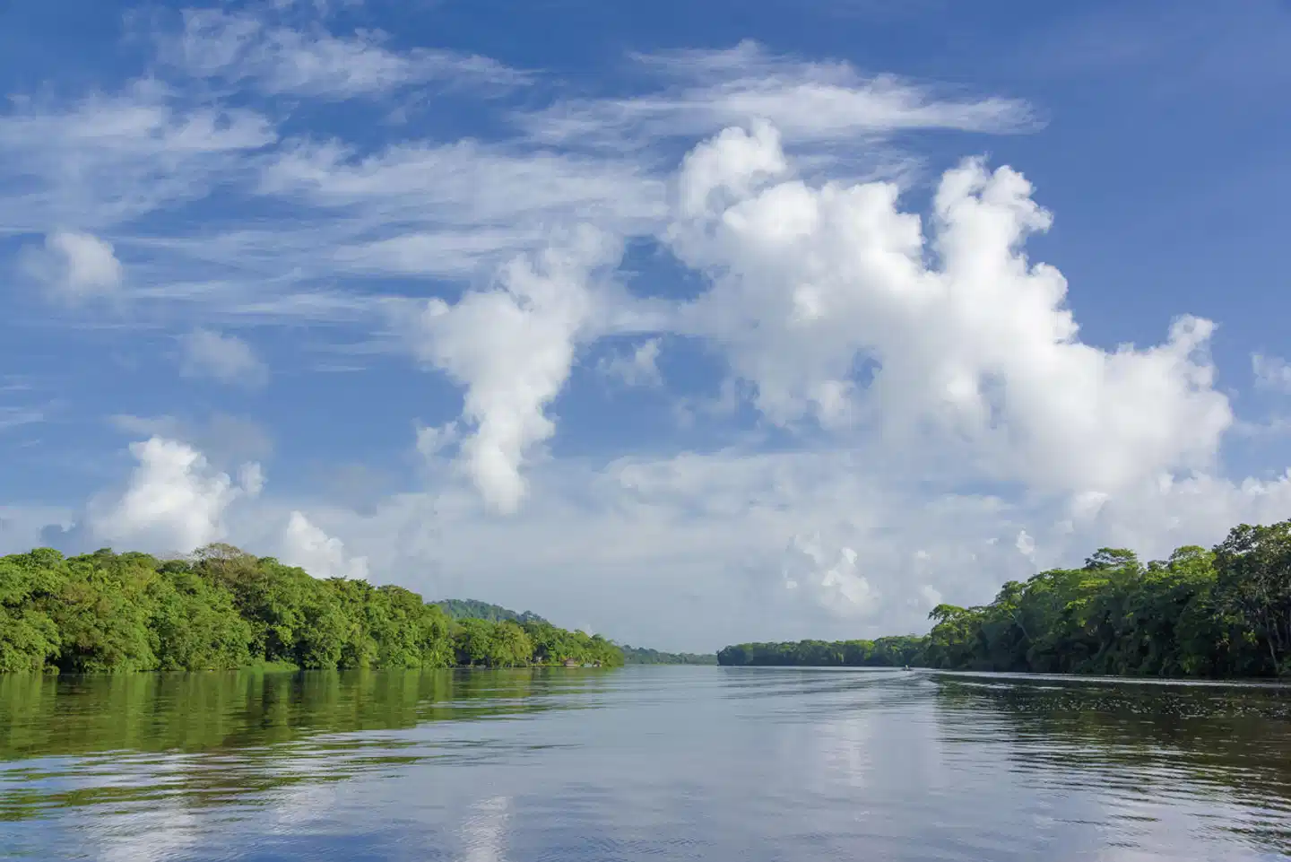 Costa Rica - Auf der Suche nach den Faultieren Landschaft