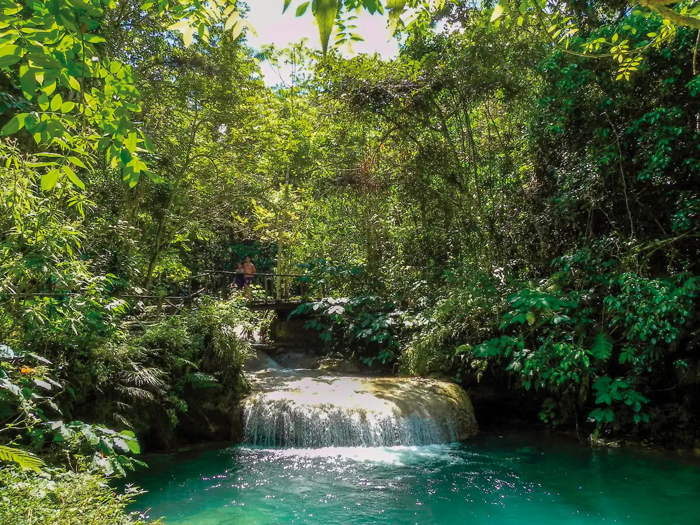 La Vida Cubana Garten