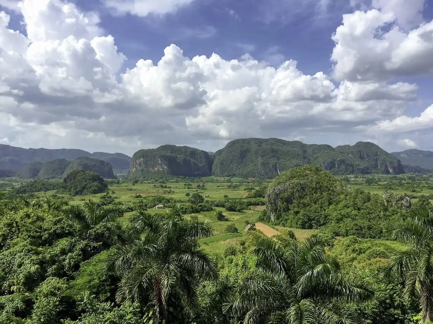 La Vida Cubana Landschaft