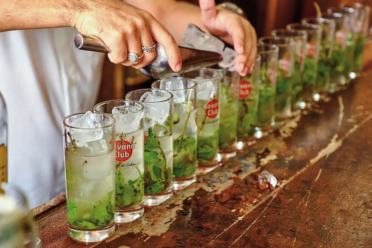 La Vida Cubana Personen