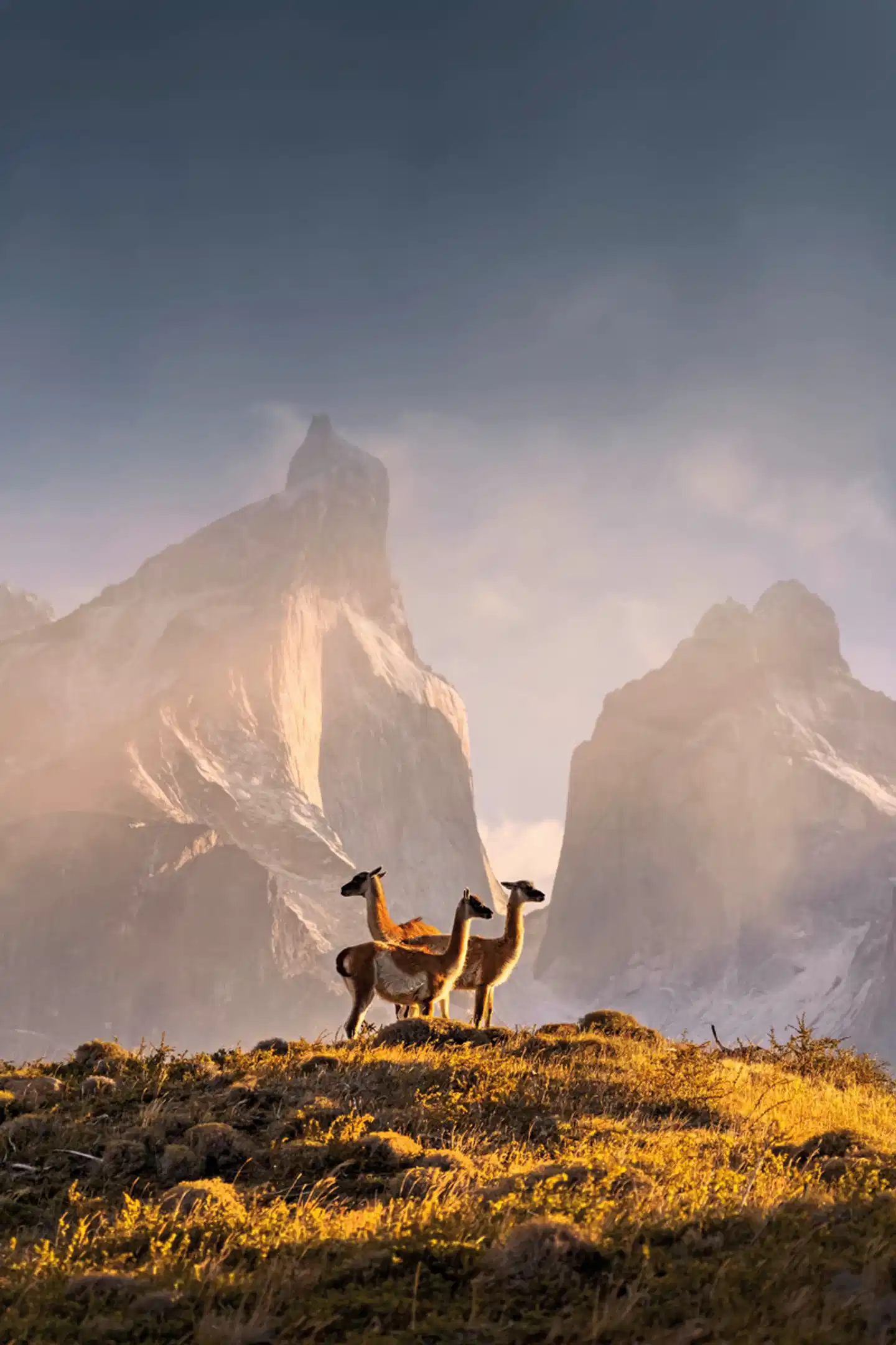 Gletscher, Pampa & Metropolen Landschaft