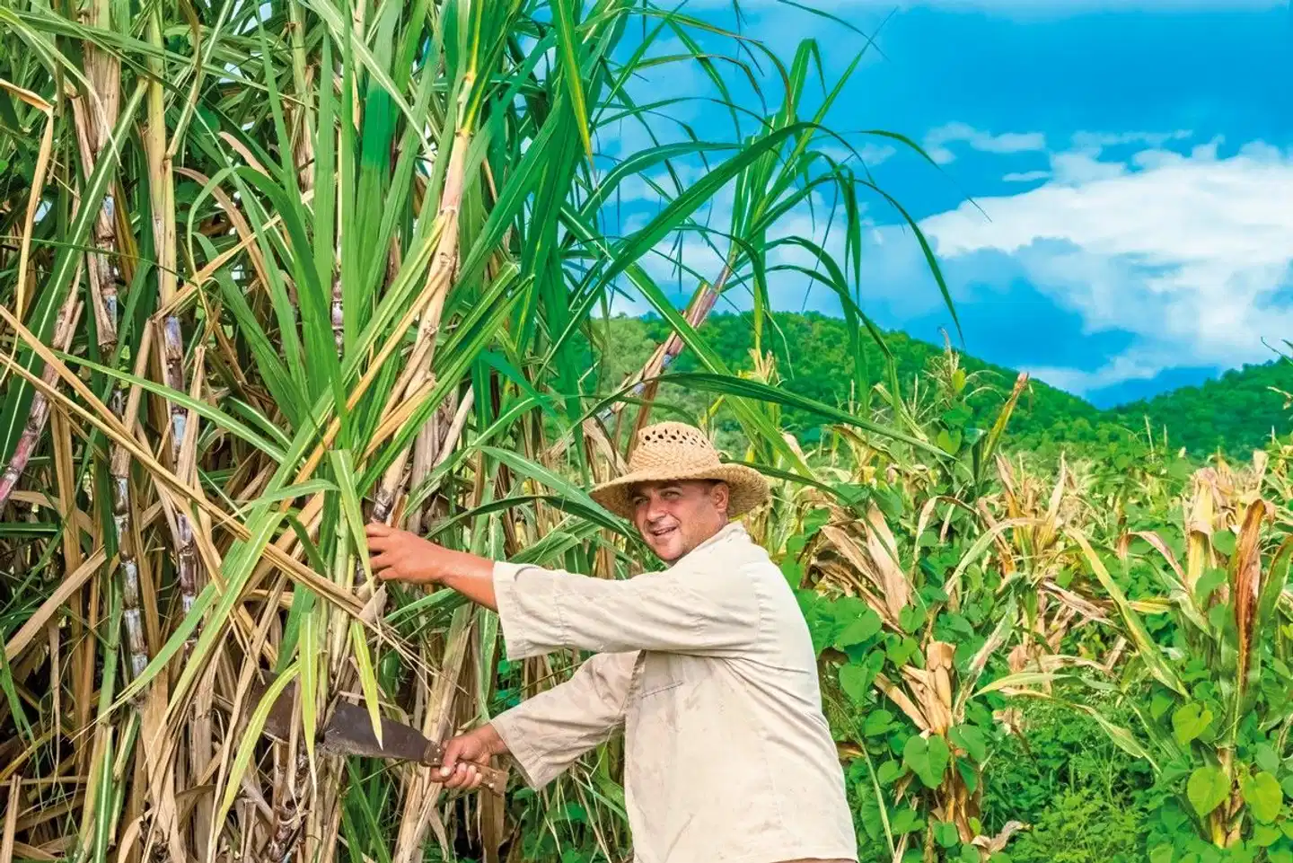 Kubas Westen auf eigene Faust Garten