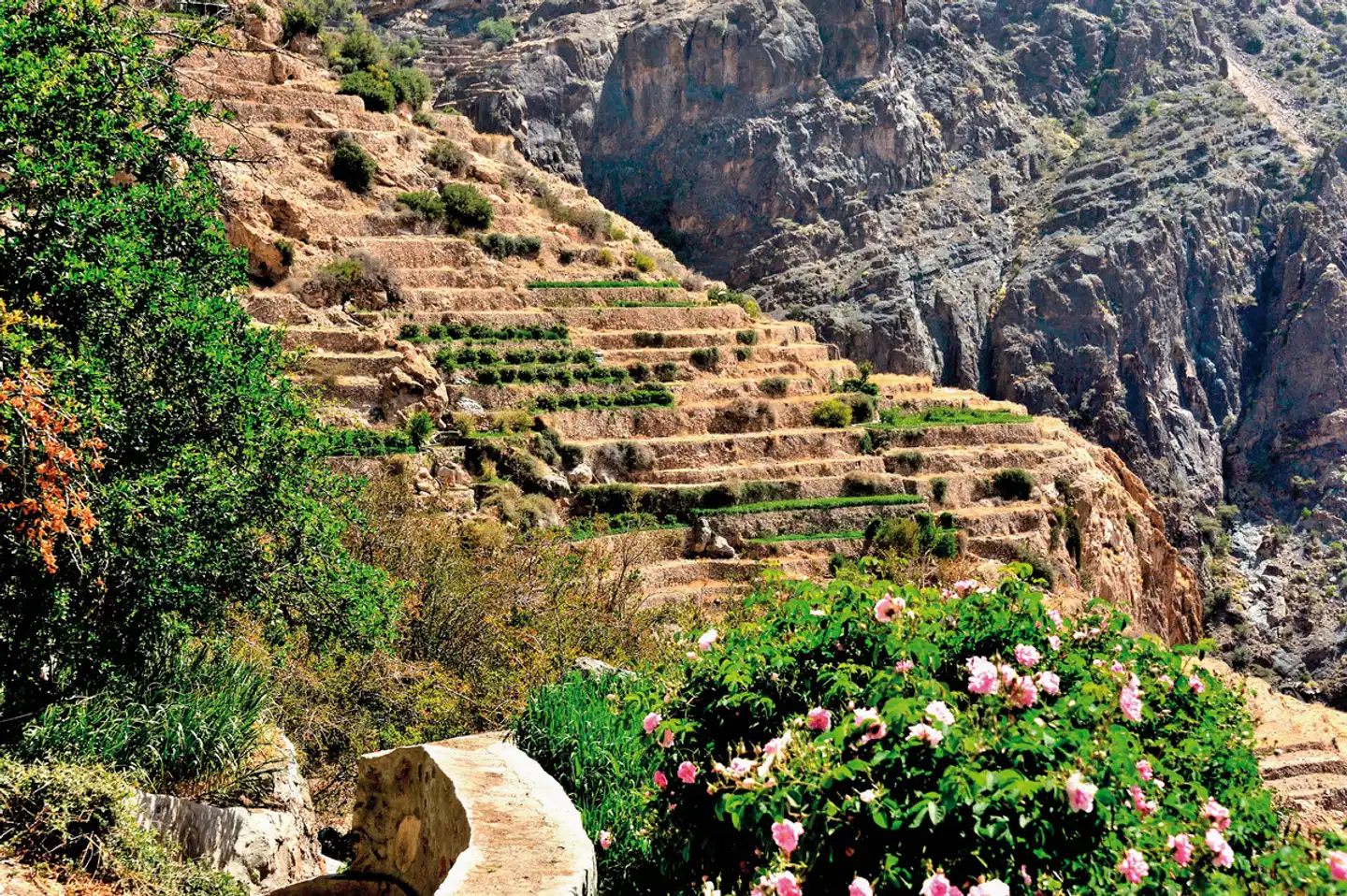 Das Königreich Oman zu Fuß entdecken Landschaft