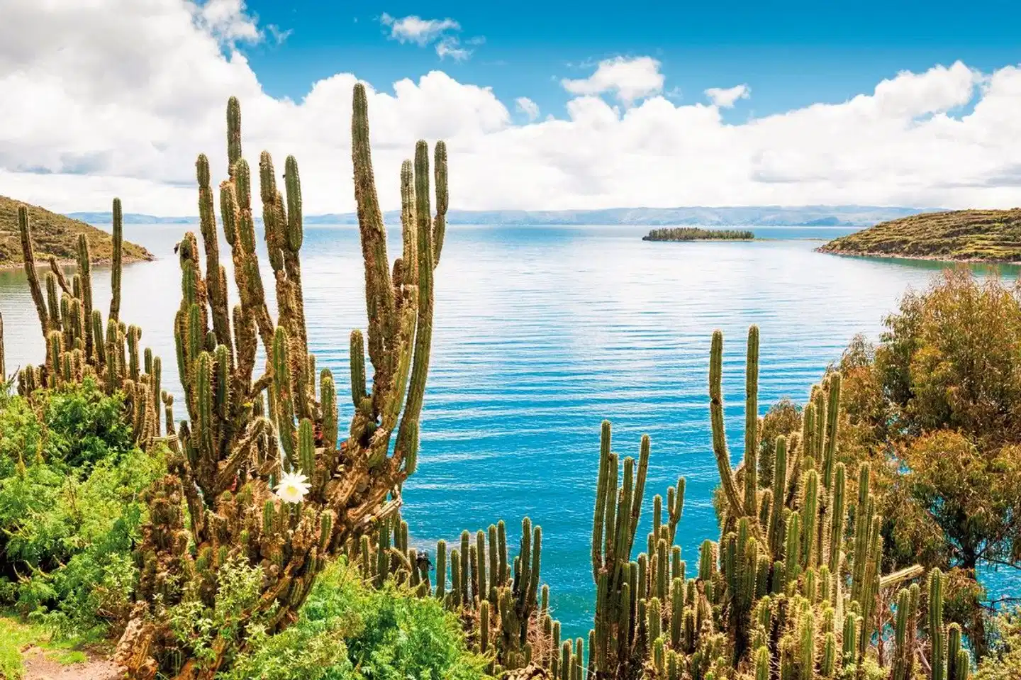 Naturwunder Altiplano & das Erbe der Inka Landschaft