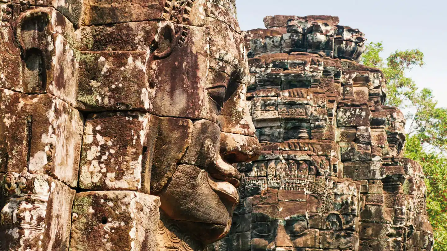 Stippvisite Angkor Wat Tiere