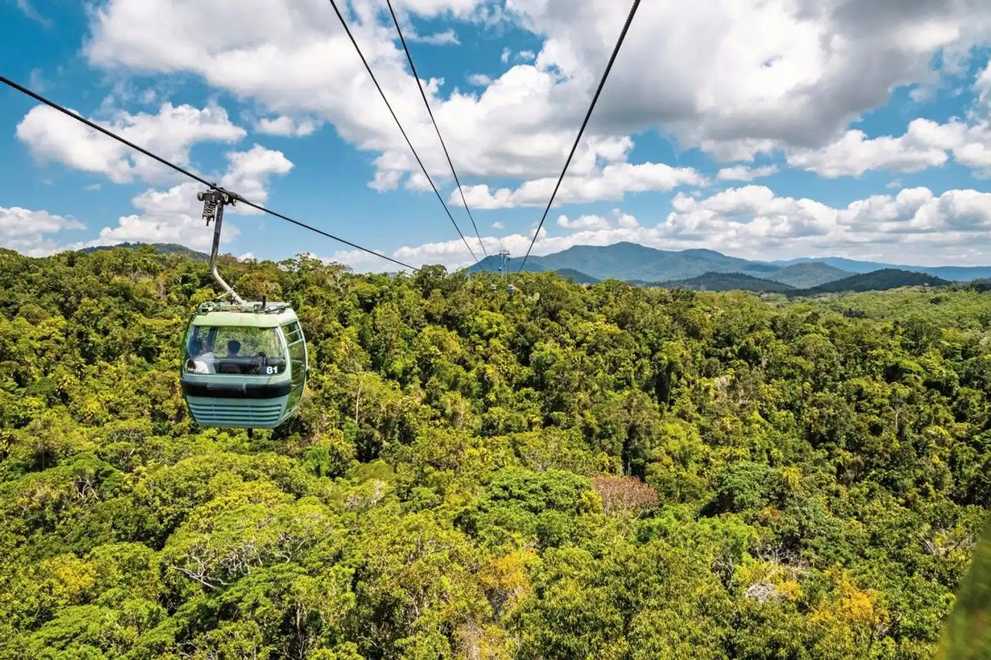 Känguru-Hüpfer Sport und Entertainment