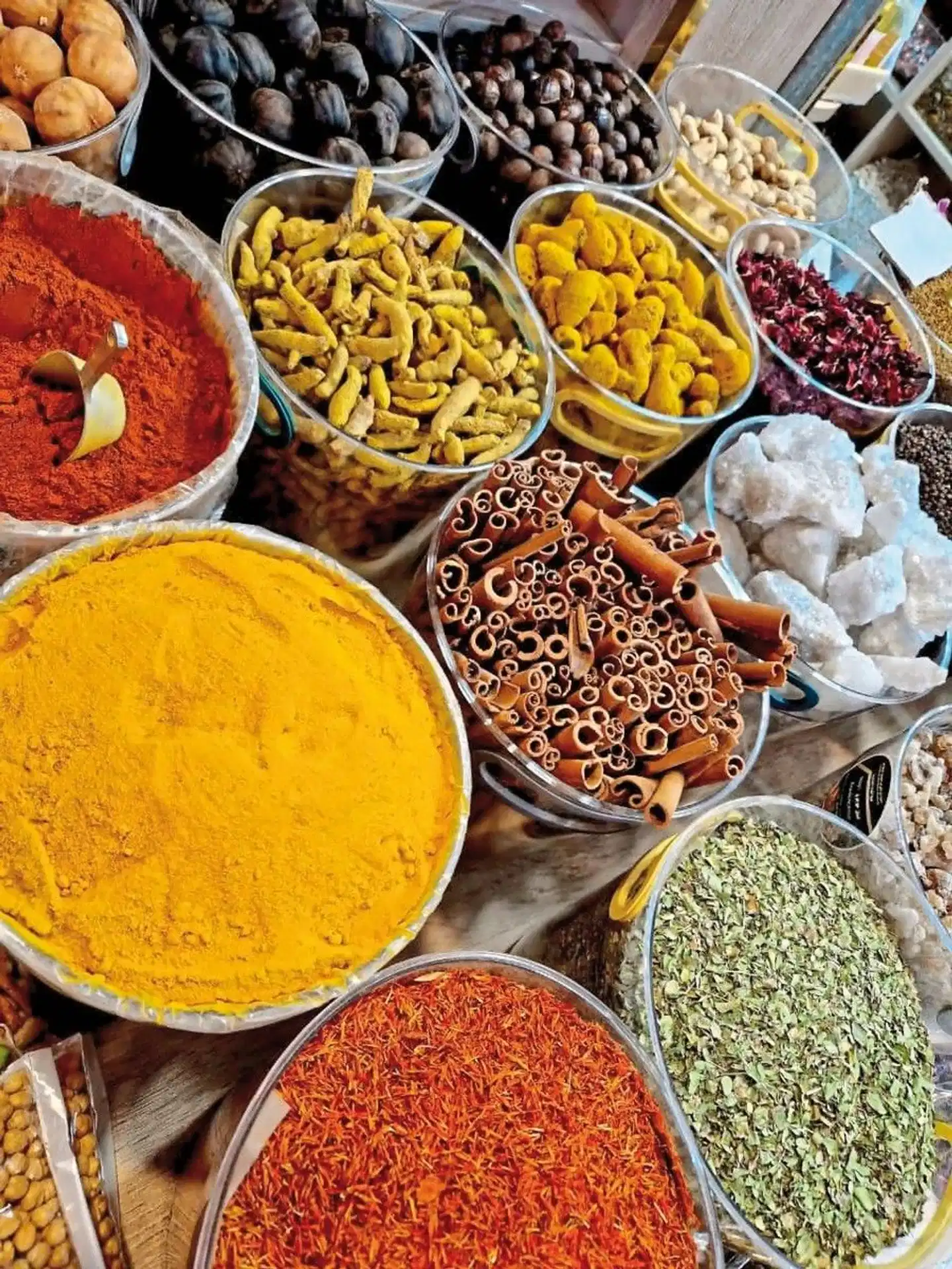 Abenteuer Oman Gruppenreise im Geländewagen Tiere