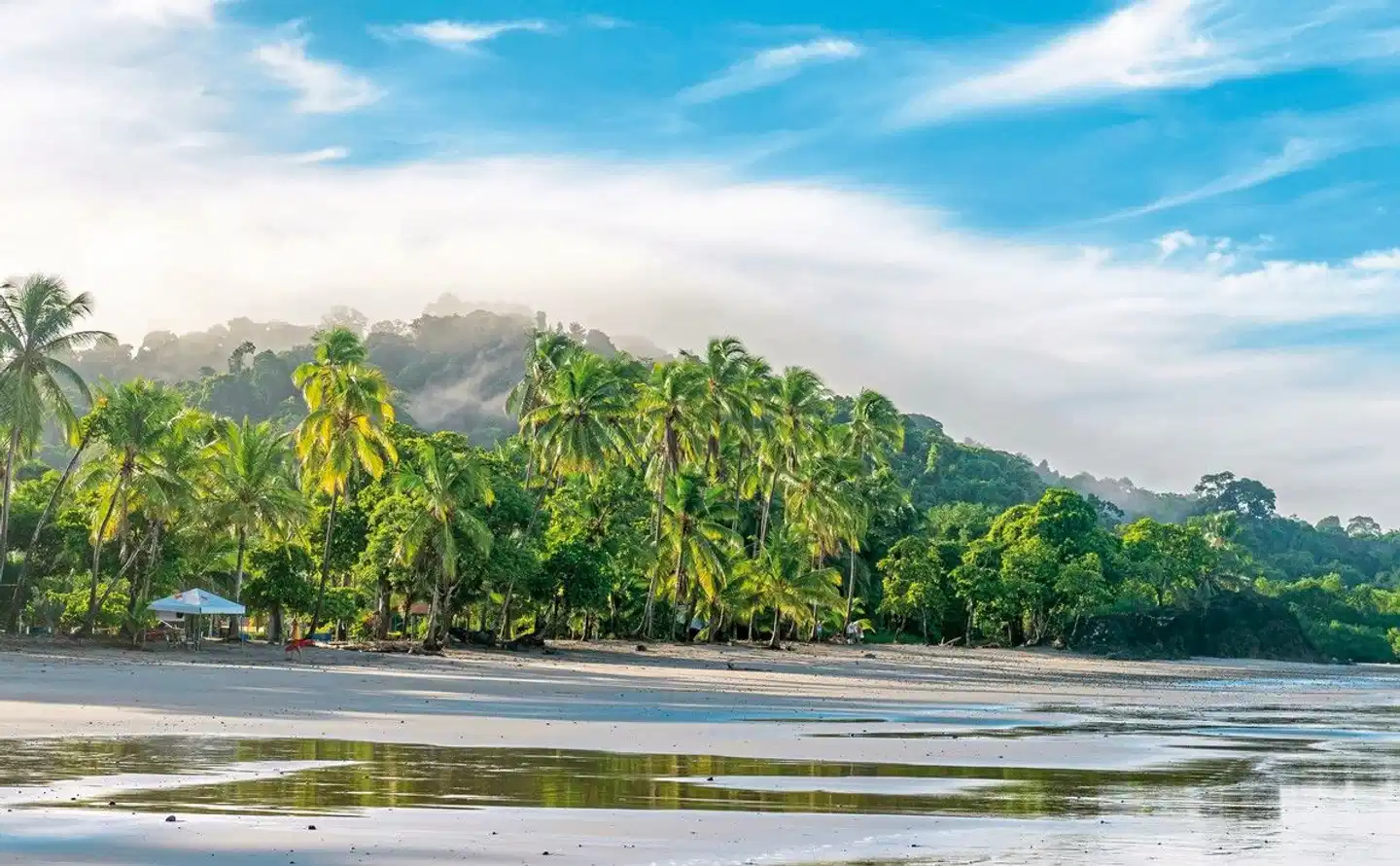 Grünes Paradies Landschaft