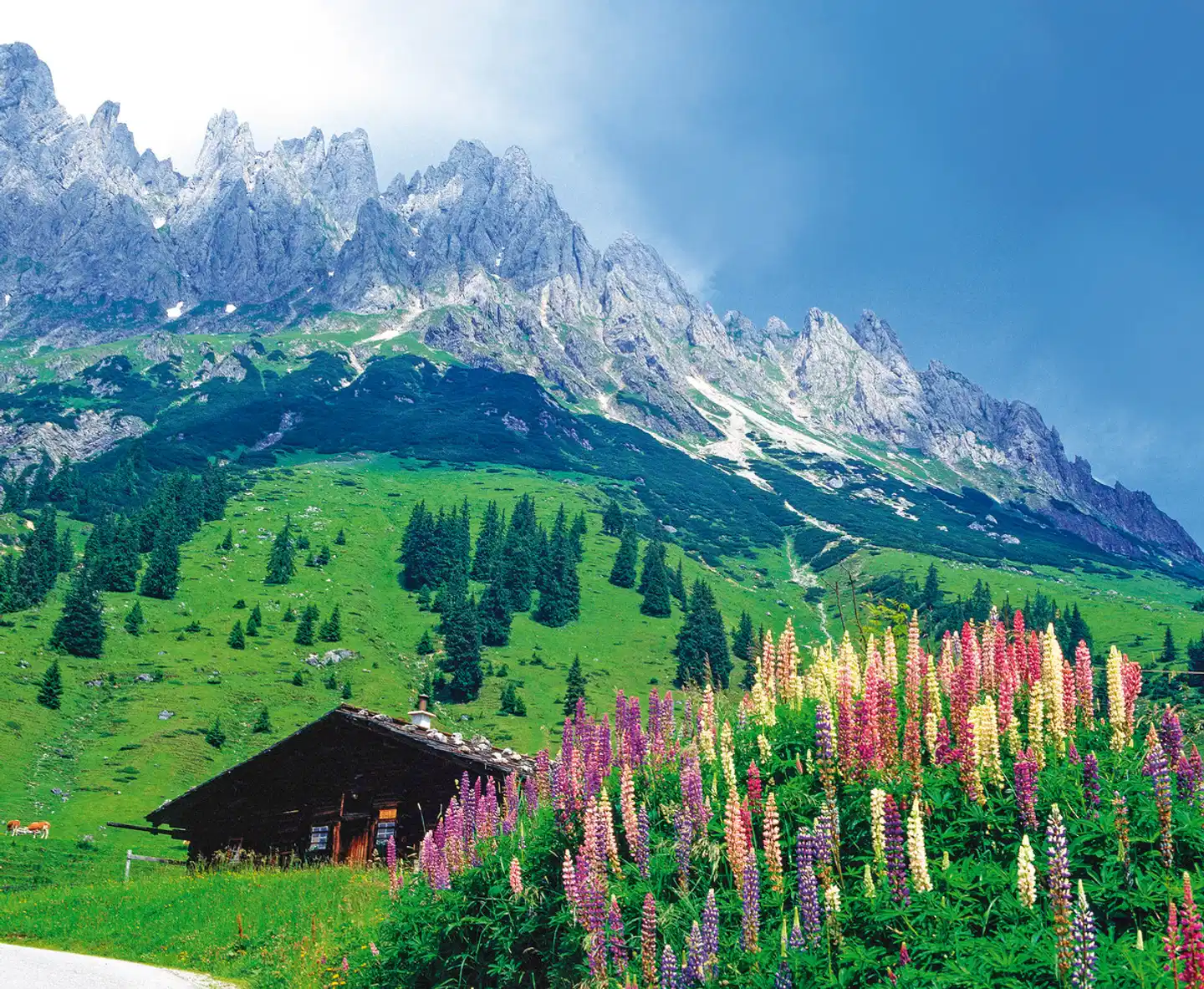 Alpe-Adria-Radweg Landschaft