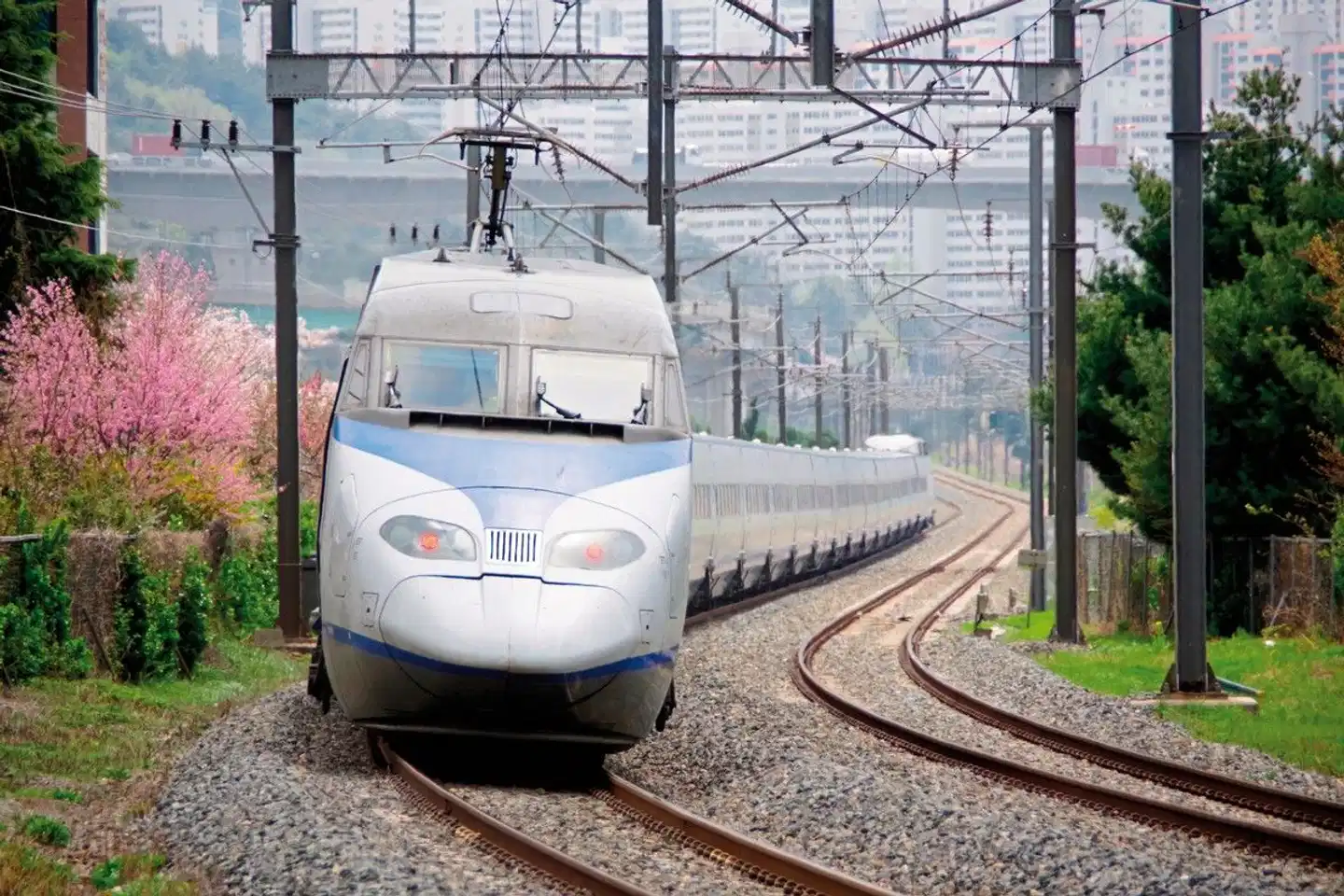 Glanzlichter Südkoreas (inkl. Flug) Wellness