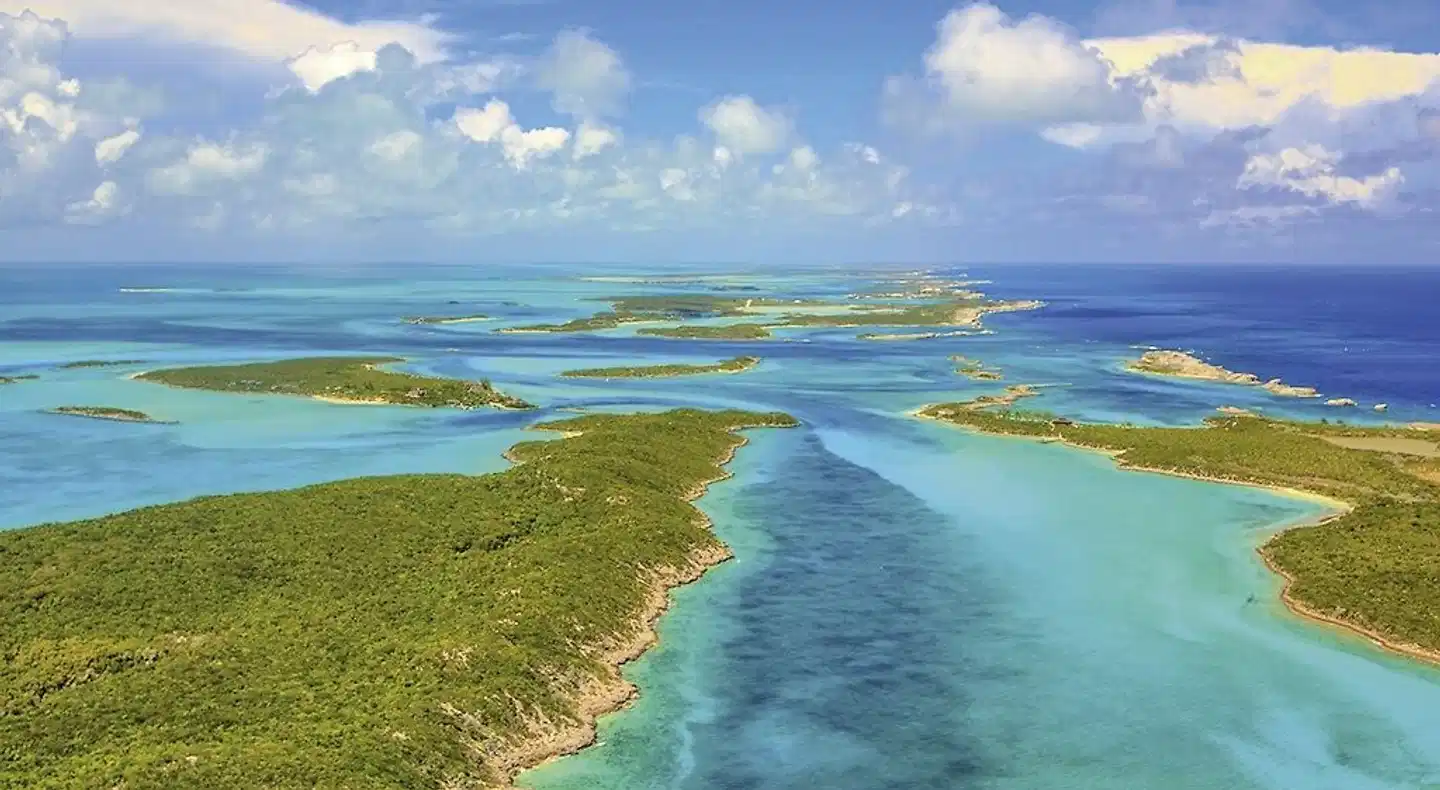 Tierisches Badevergnügen Landschaft