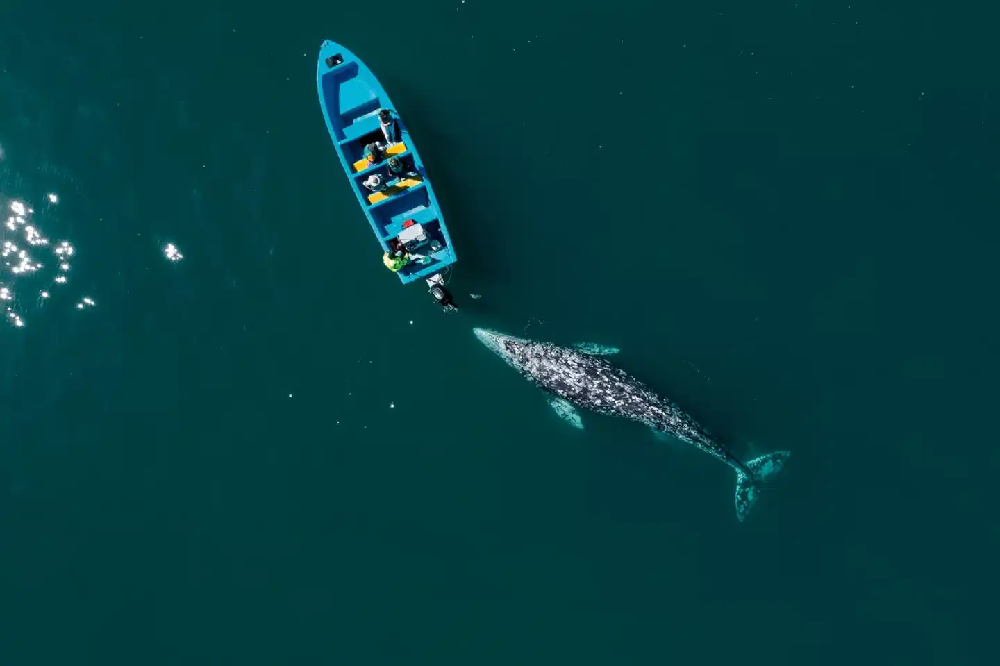 Busrundreise Baja California Landkarte