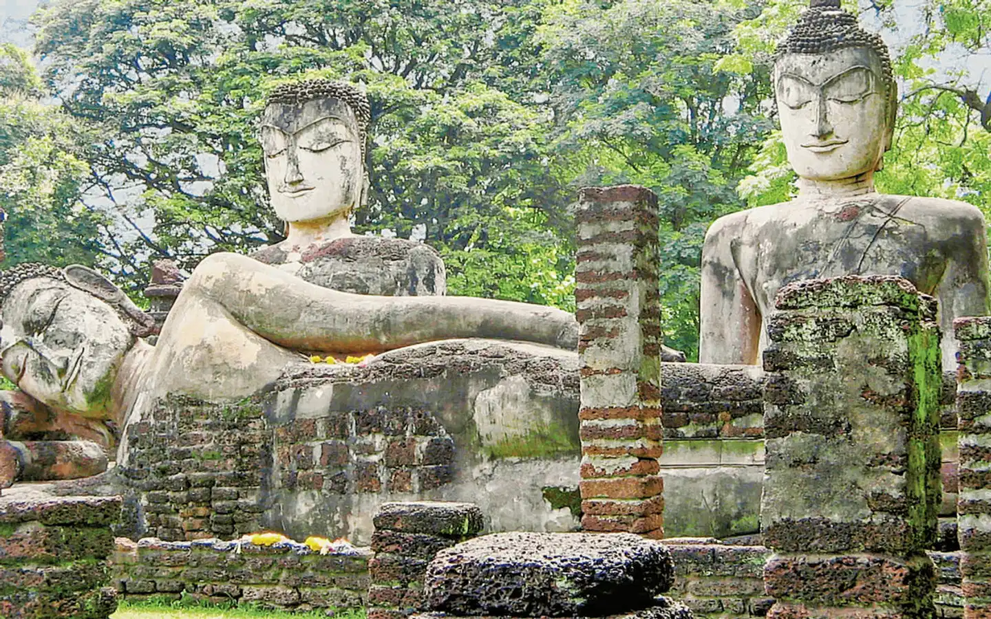 Sri Lanka Allround (Privatreise) Garten