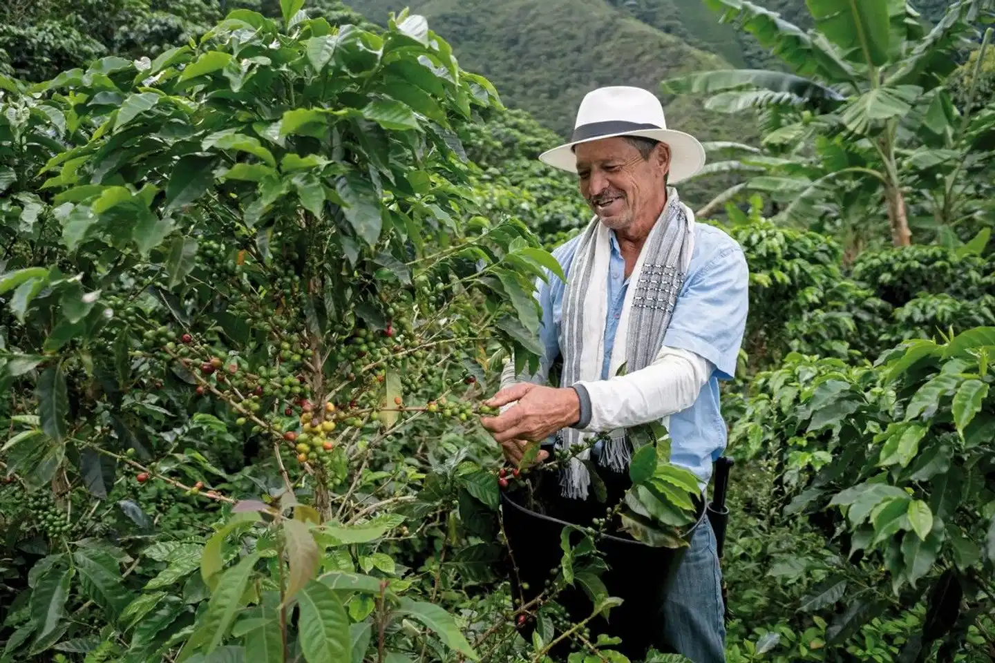 Panama & Kolumbien - von Kanalwundern, Kaffeekultur und Küstenzauber Personen