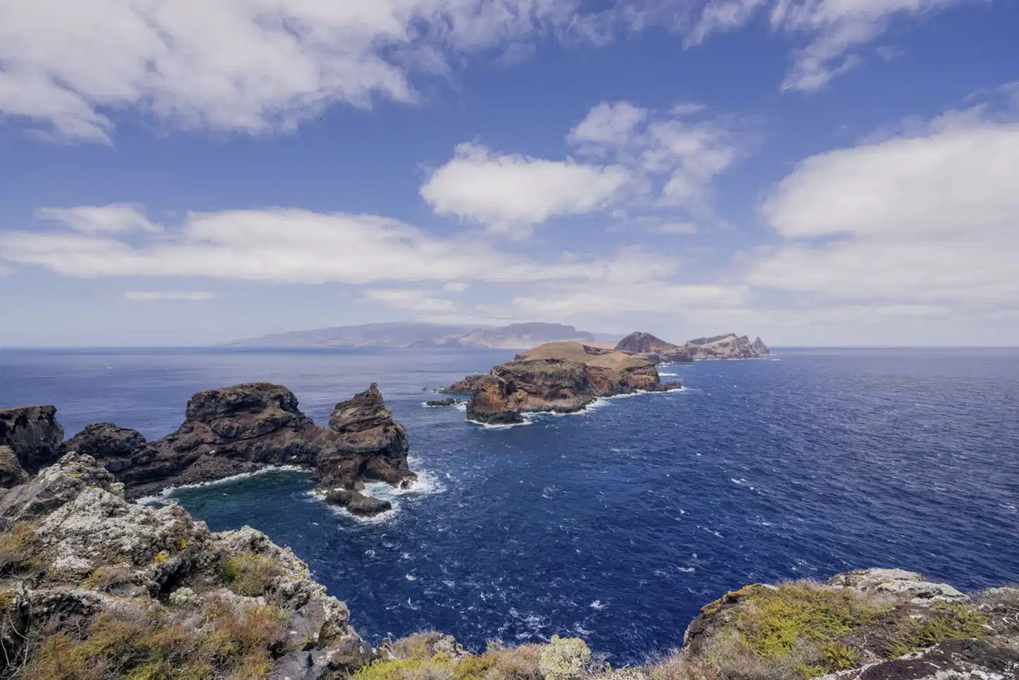 Levadas, üppige Vegetation und raue Küsten Tiere