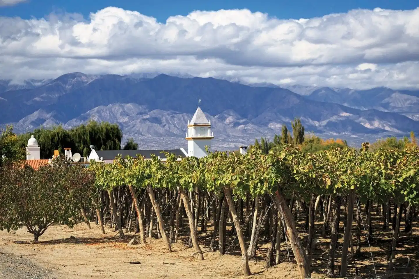 Nordargentinien - Tango, Wasserfälle und Weinreben Landschaft