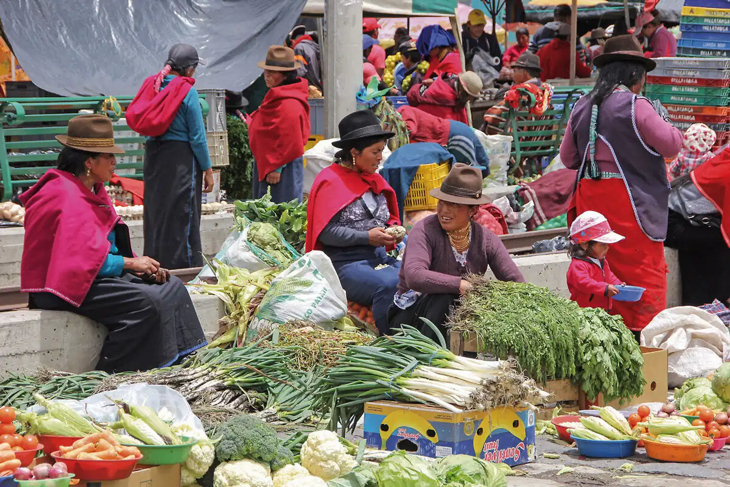 Farbenfrohes Ecuador Intensiv Sport und Entertainment