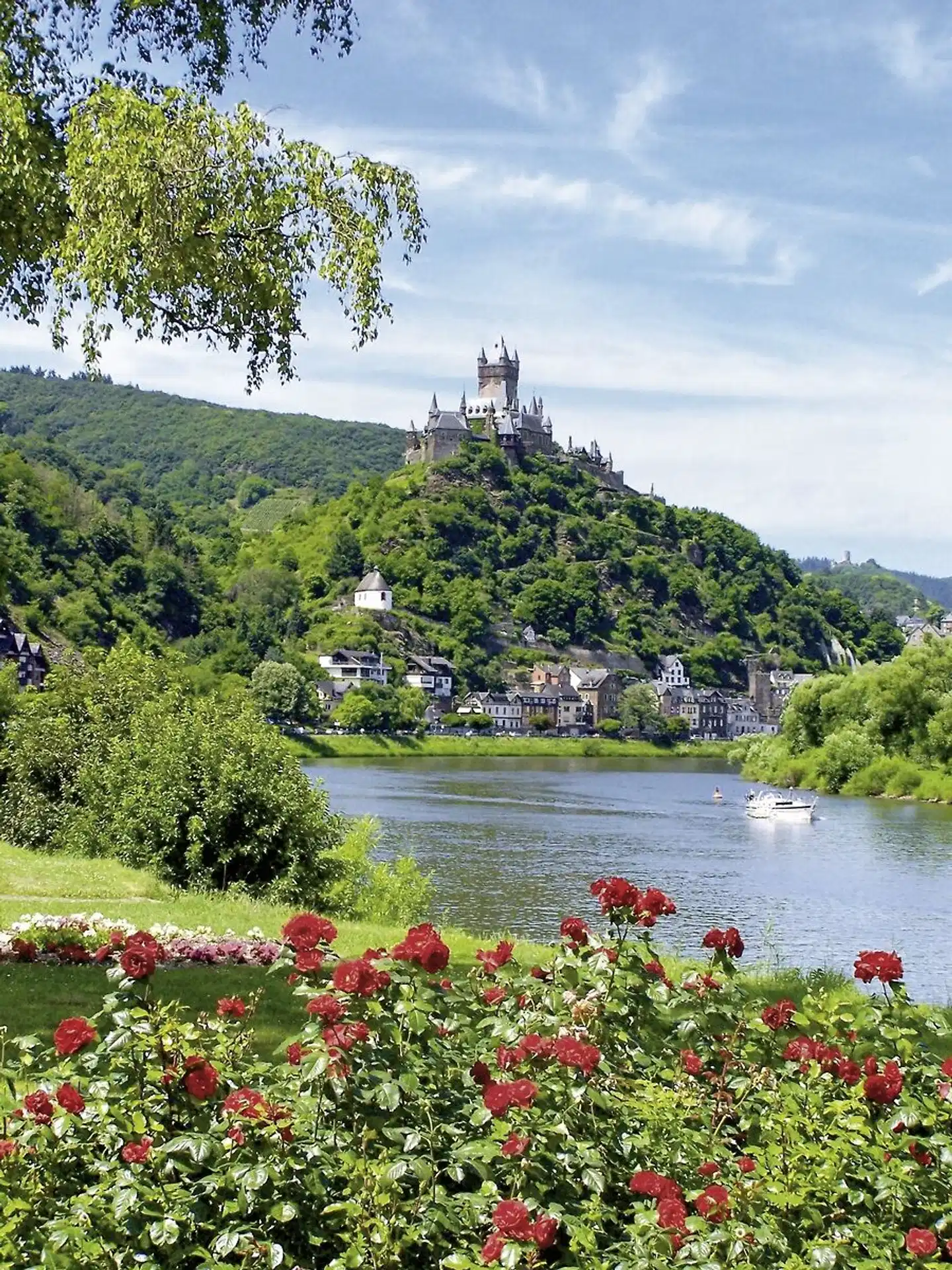 Mosel-Radweg - Der Klassiker Landschaft